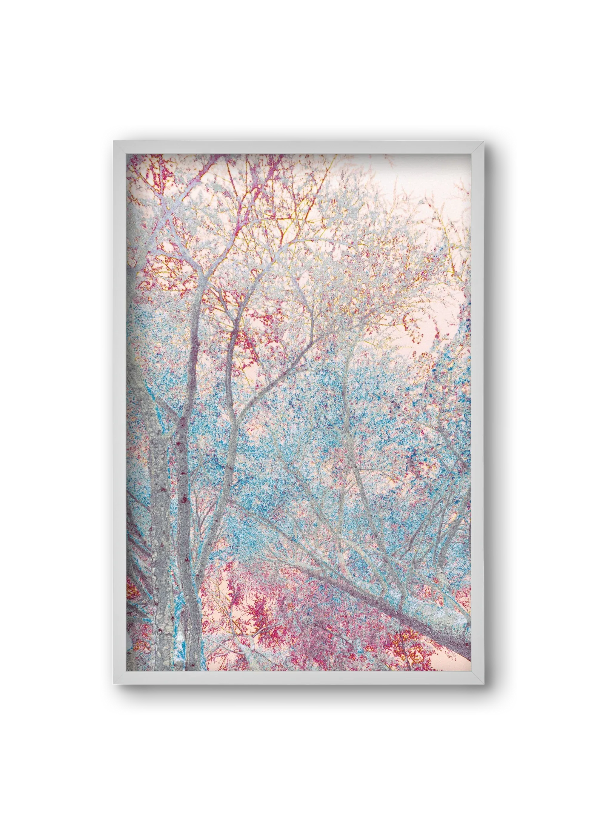 luminous - artbridge