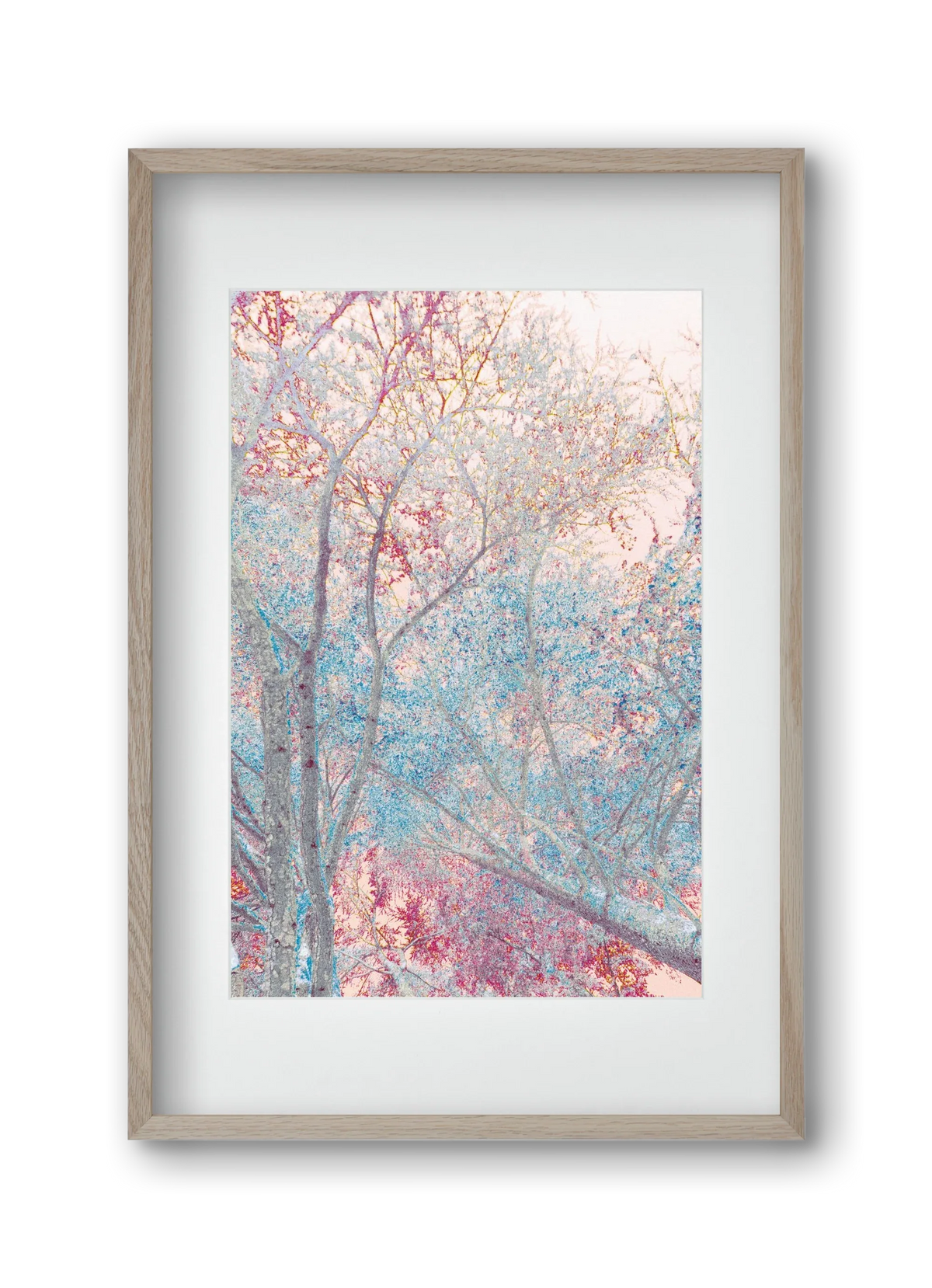 luminous - artbridge