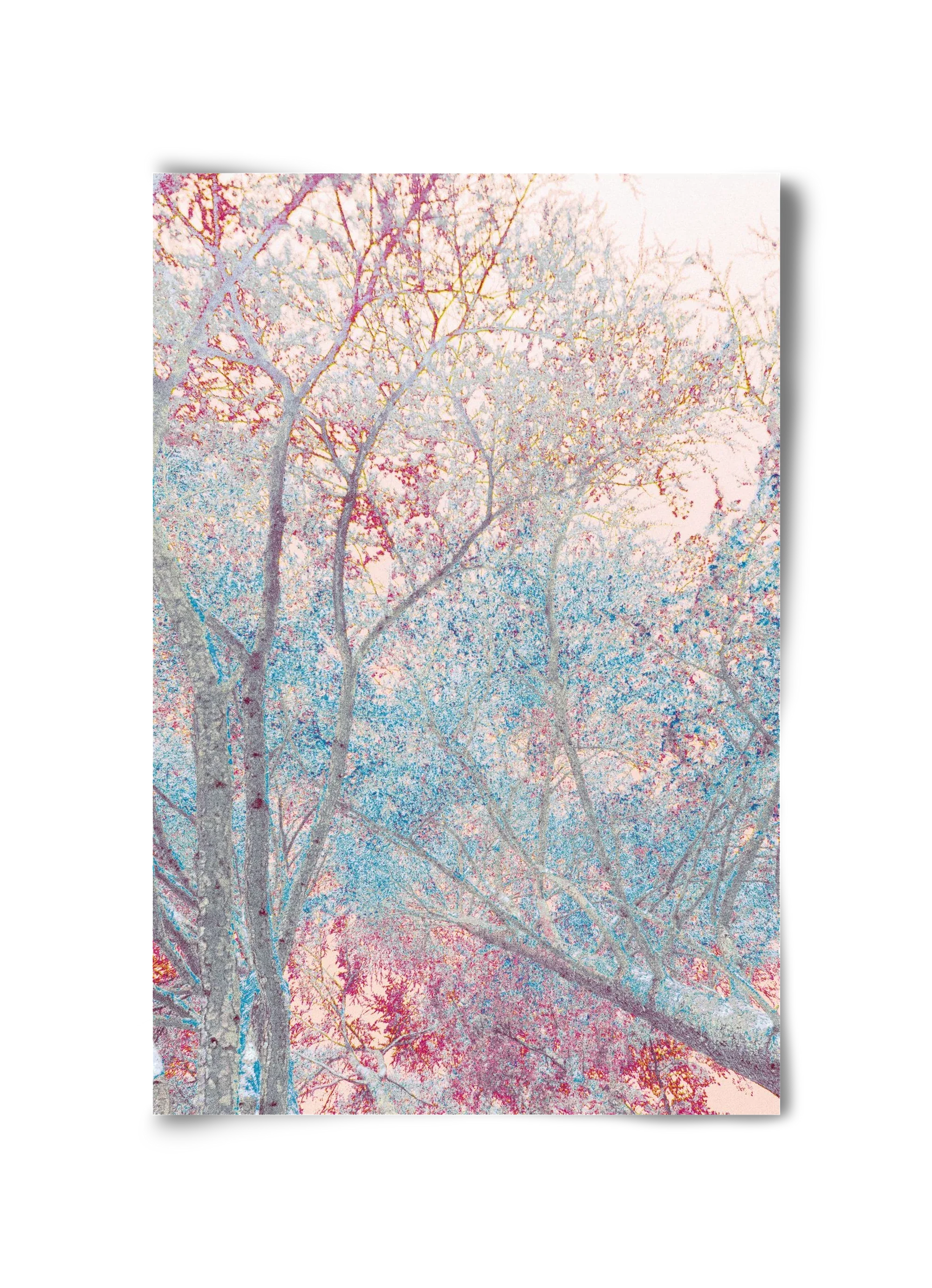 luminous - artbridge