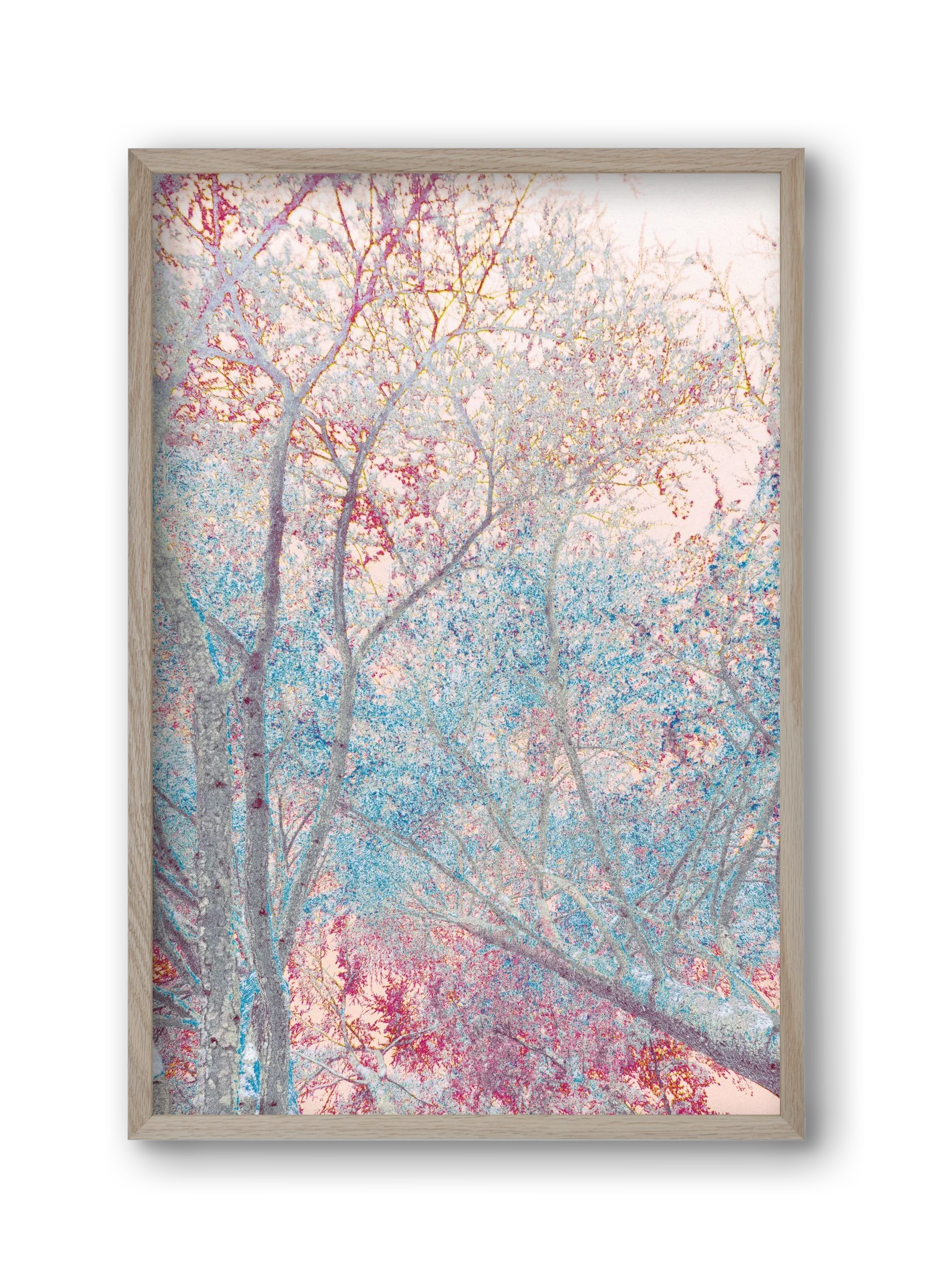 luminous - artbridge