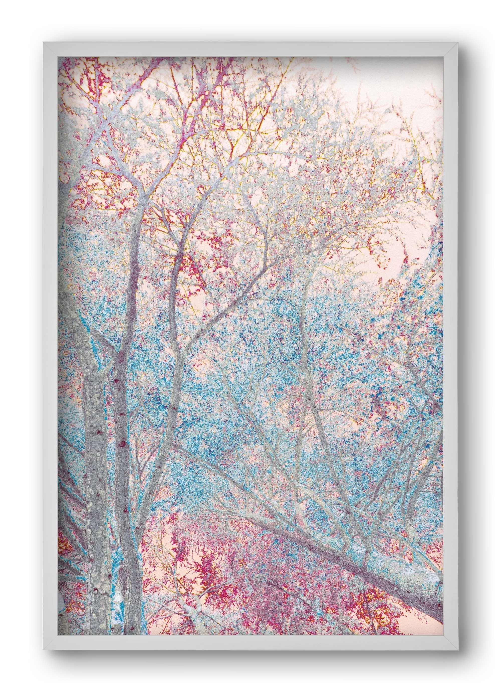 luminous - artbridge