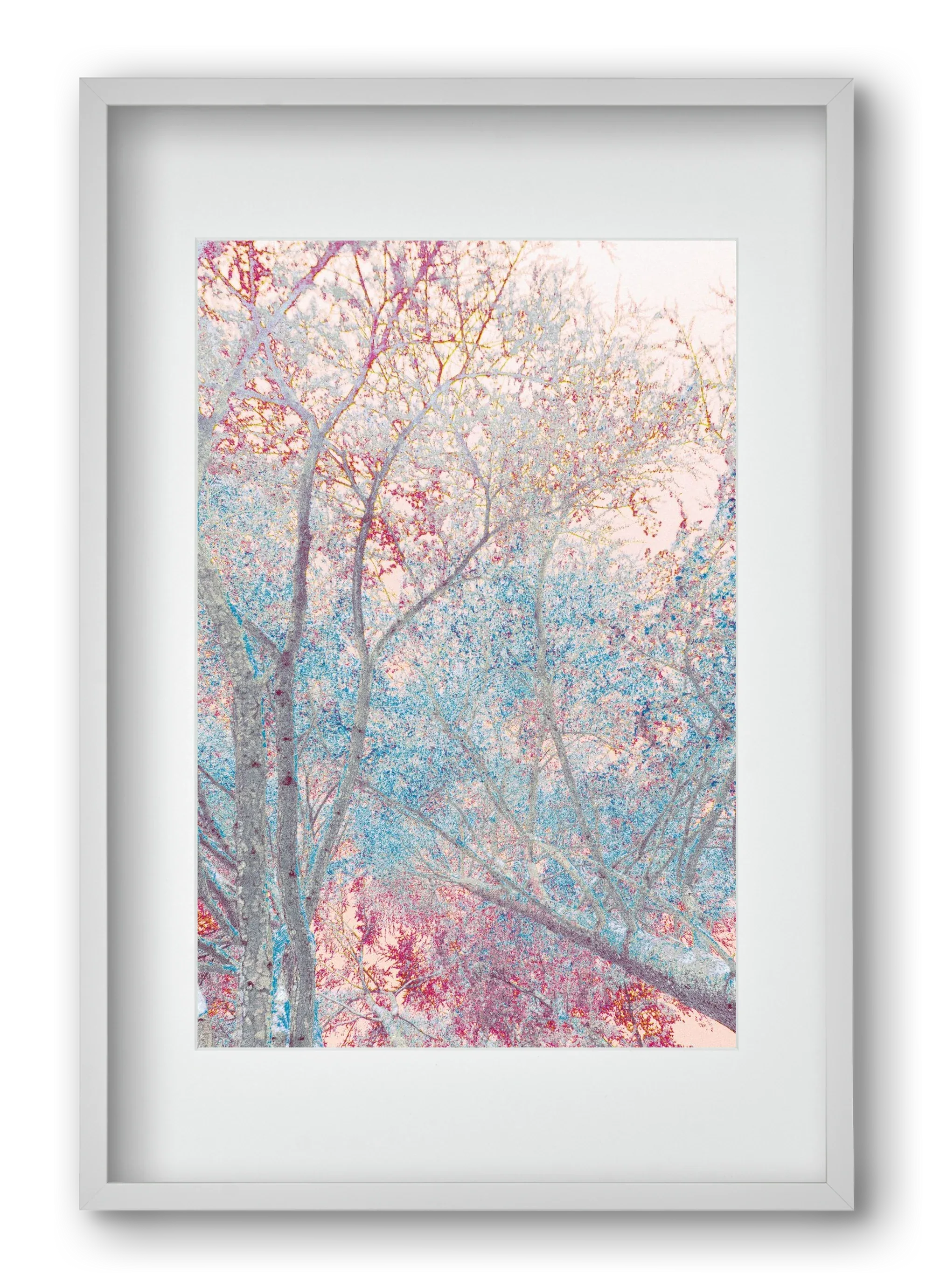 luminous - artbridge