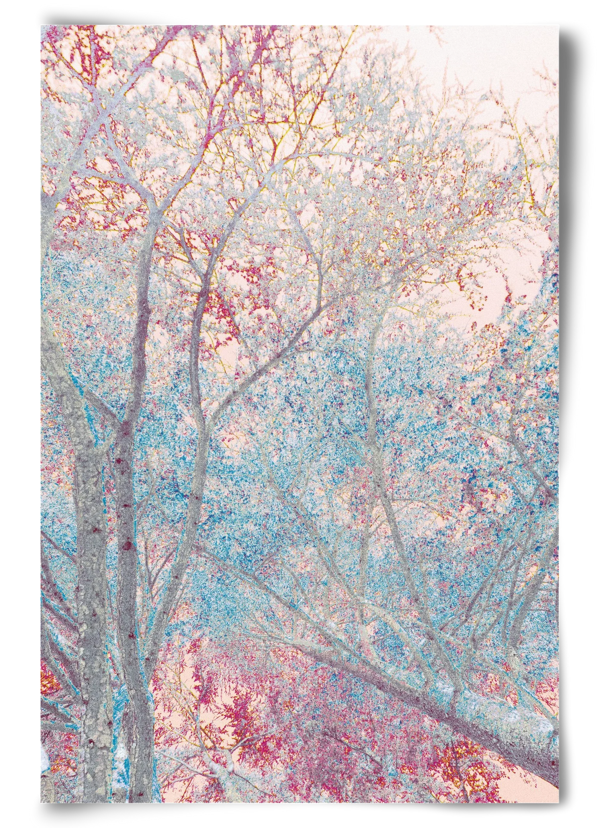 luminous - artbridge