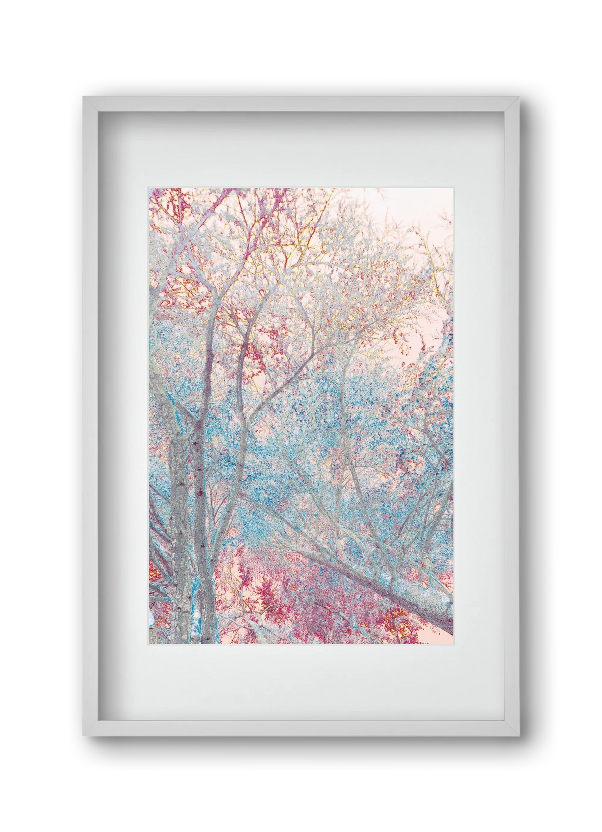 luminous - artbridge