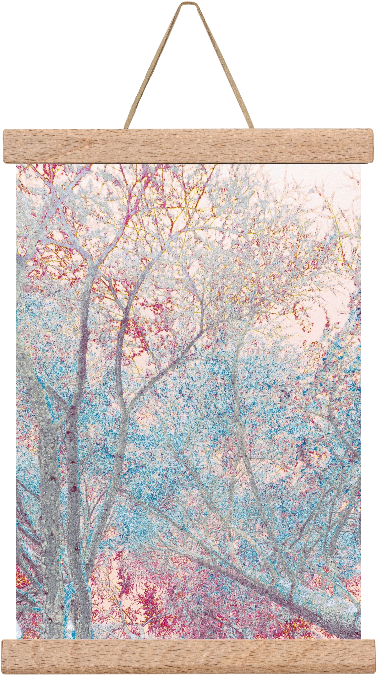 luminous - artbridge