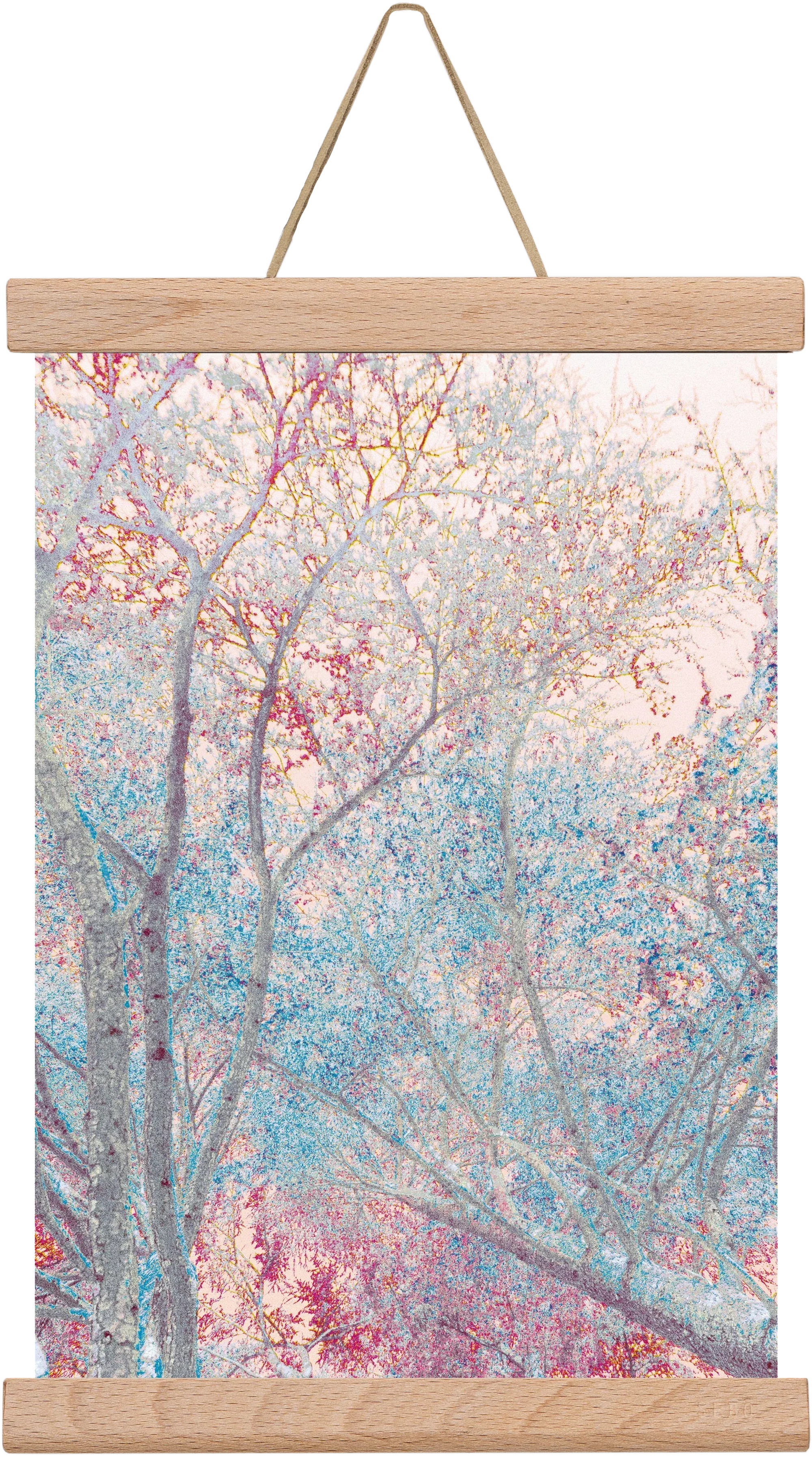 luminous - artbridge