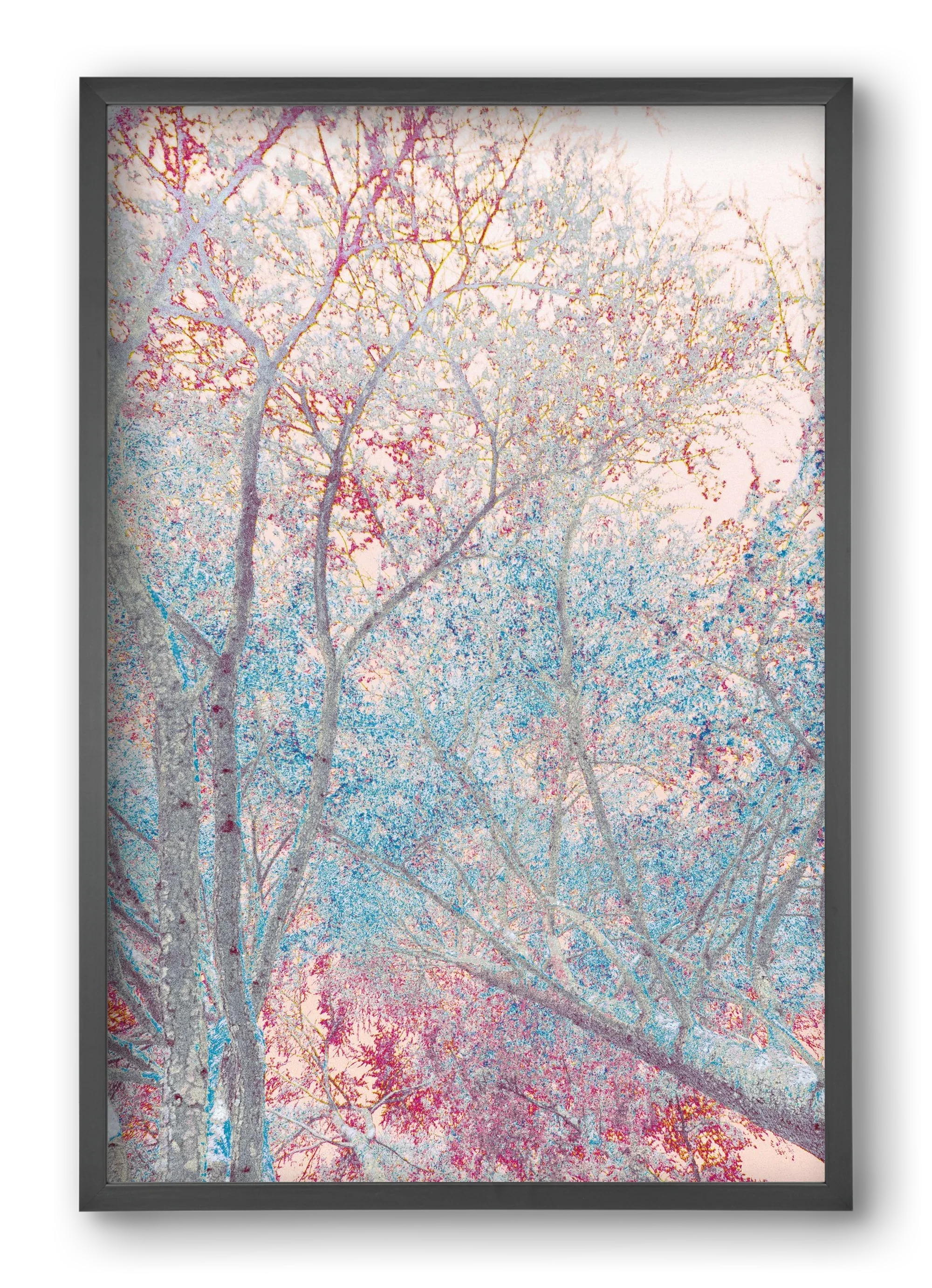 luminous - artbridge