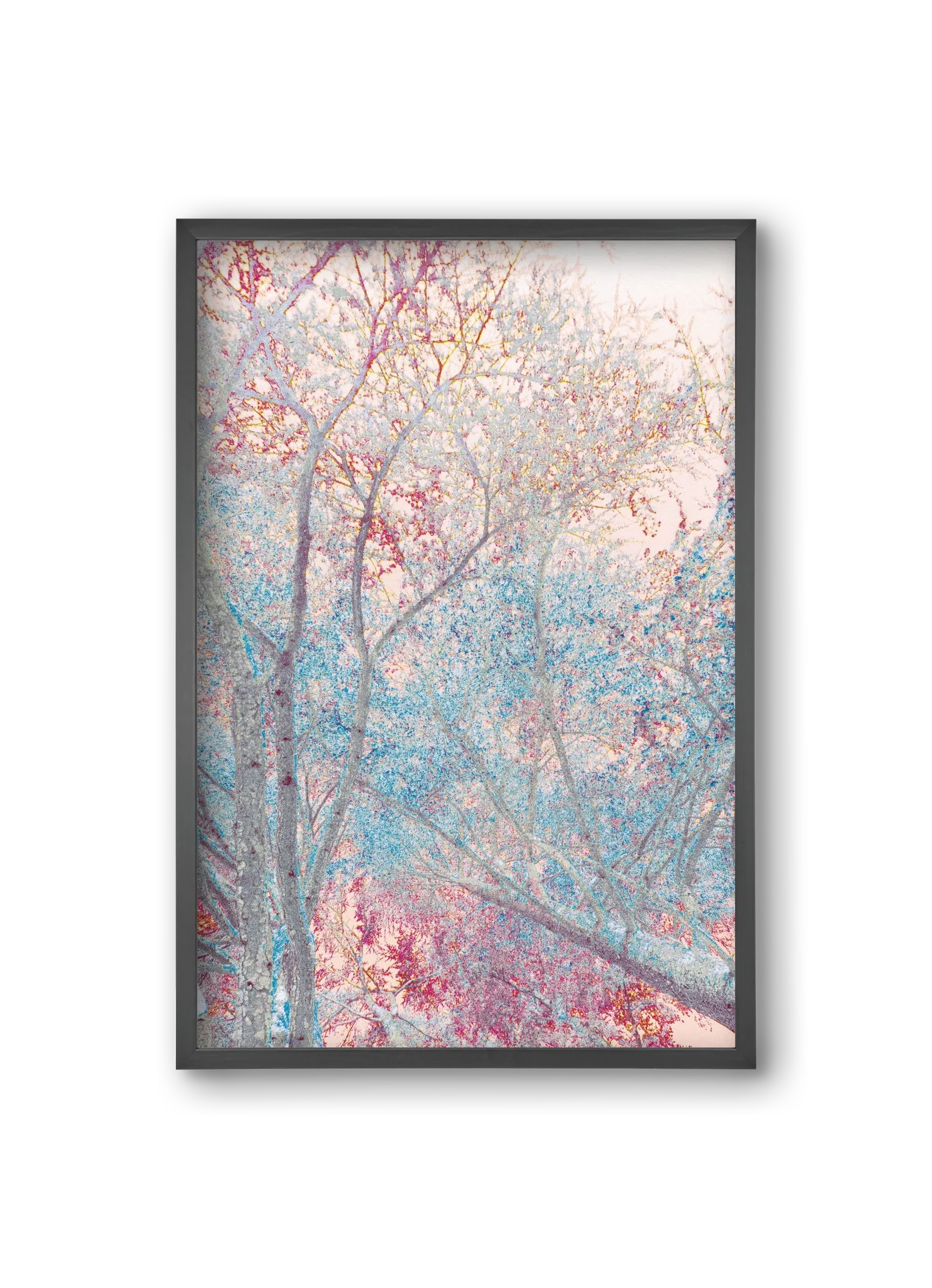 luminous - artbridge