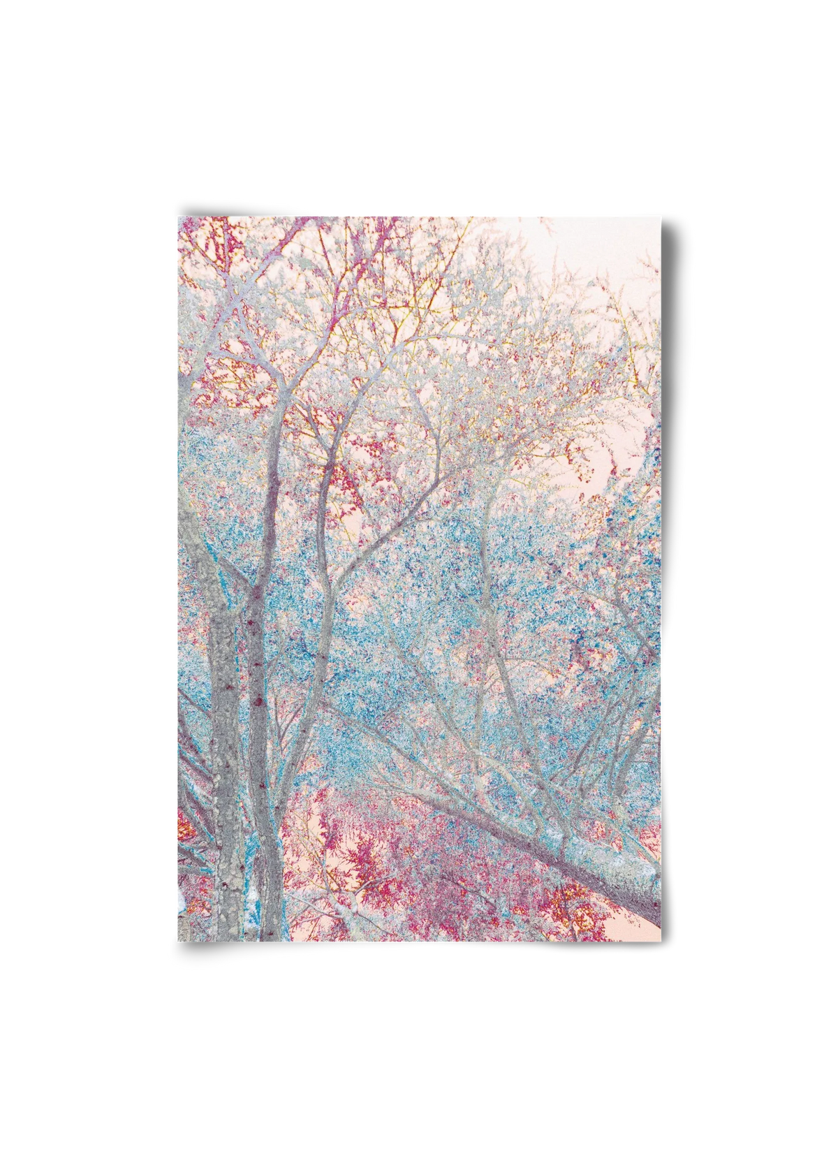 luminous - artbridge