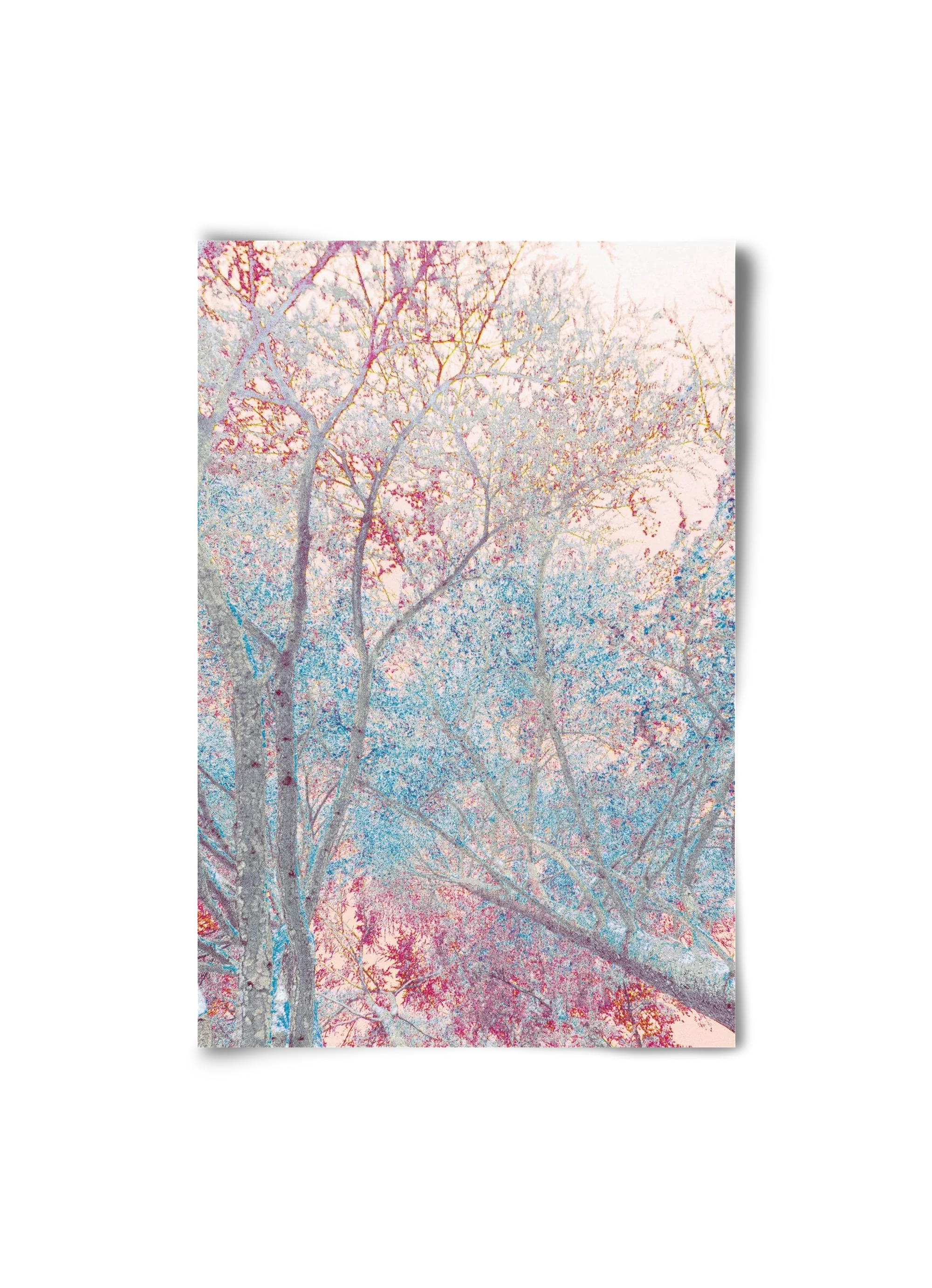 luminous - artbridge