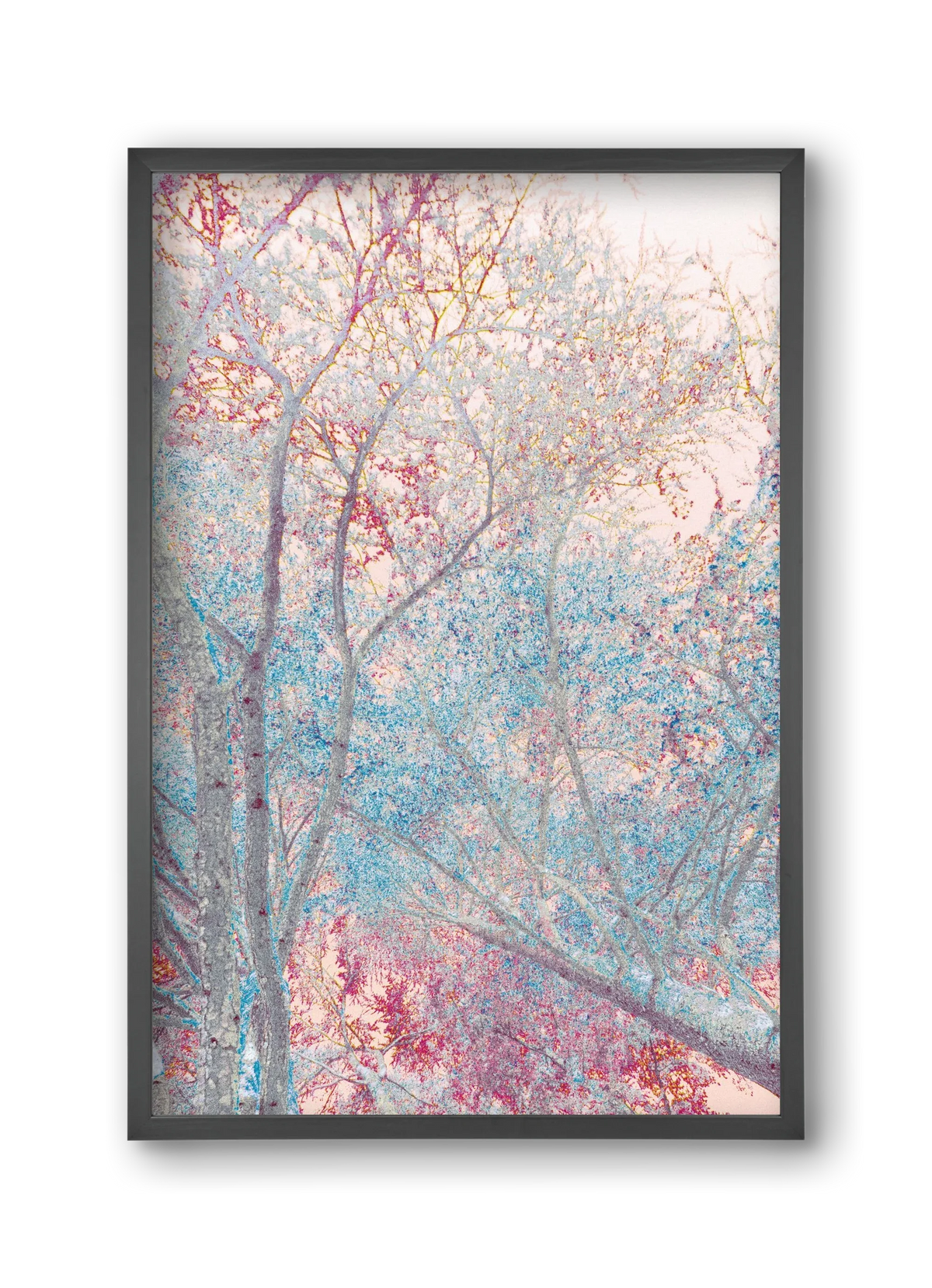 luminous - artbridge