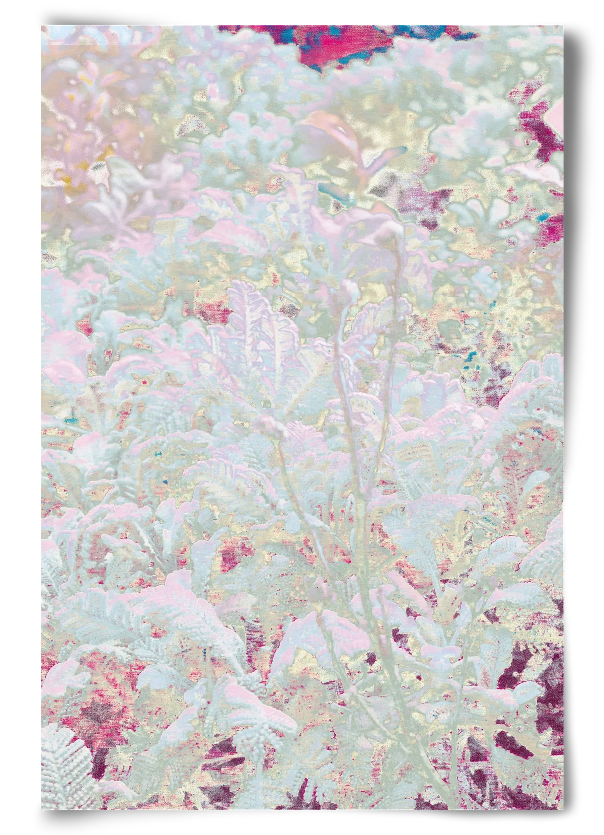 sweet jungle - artbridge