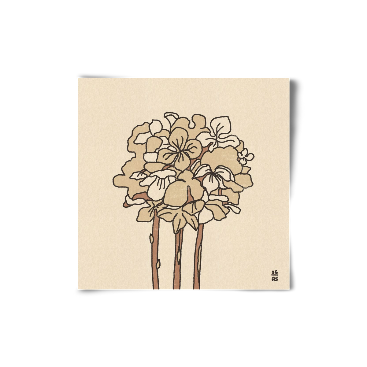 Winter Hydrangeas, 20x20 cm, Keret nélkül