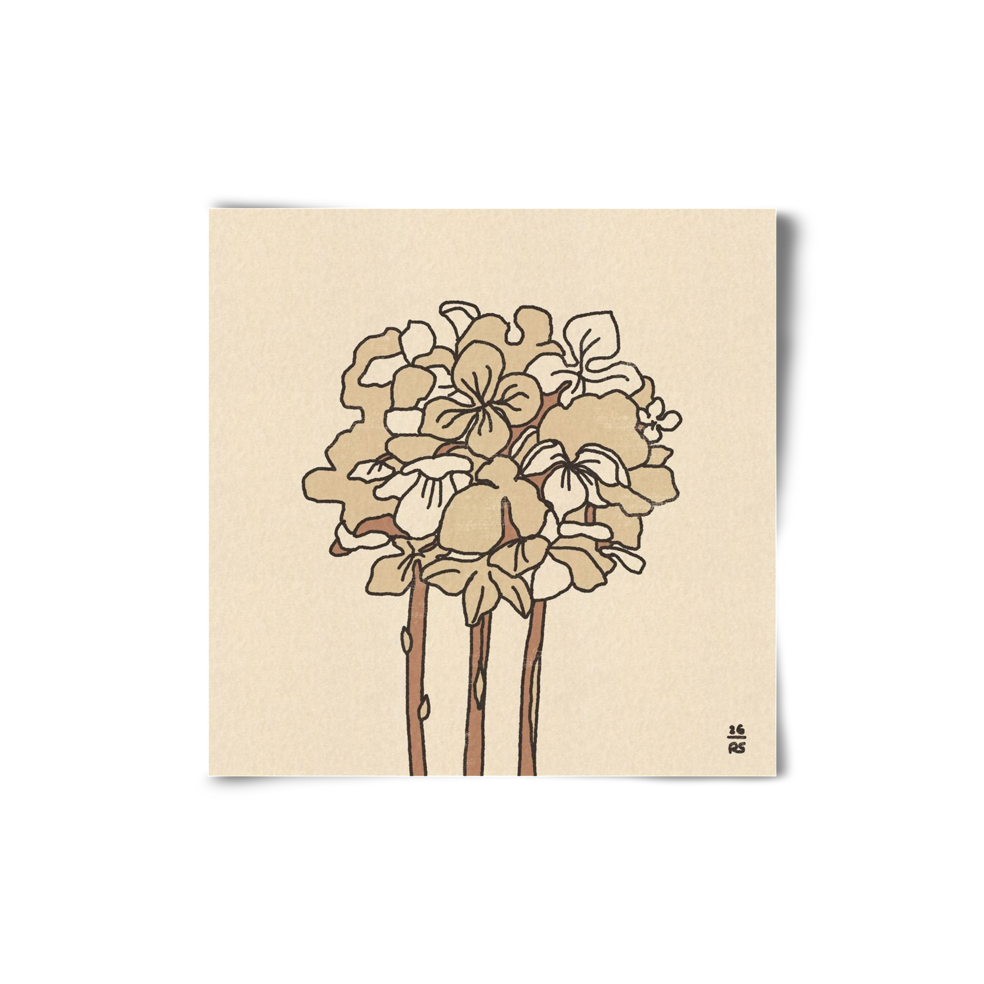 Winter Hydrangeas, 20x20 cm, Keret nélkül