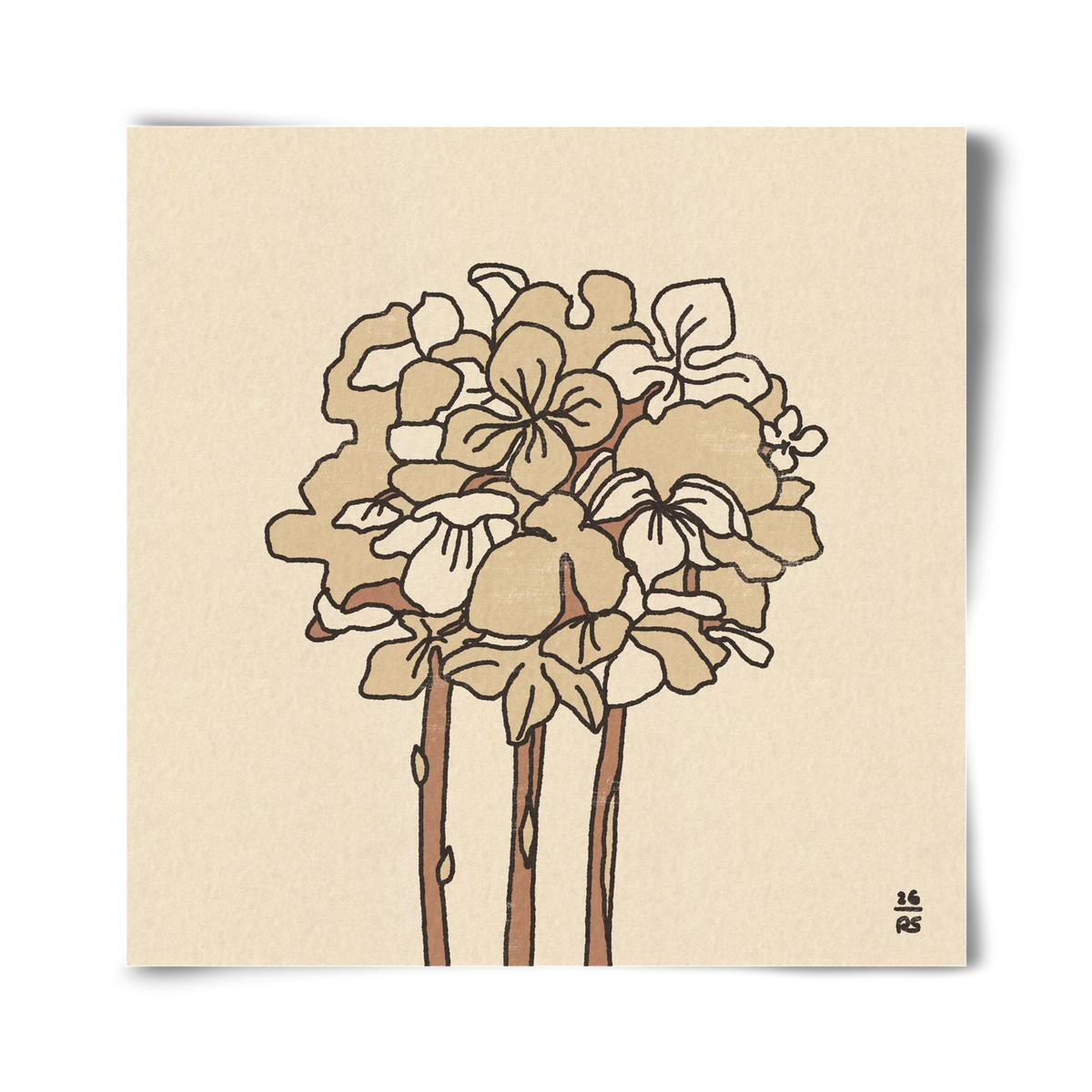 Winter Hydrangeas, 40x40 cm, Keret nélkül