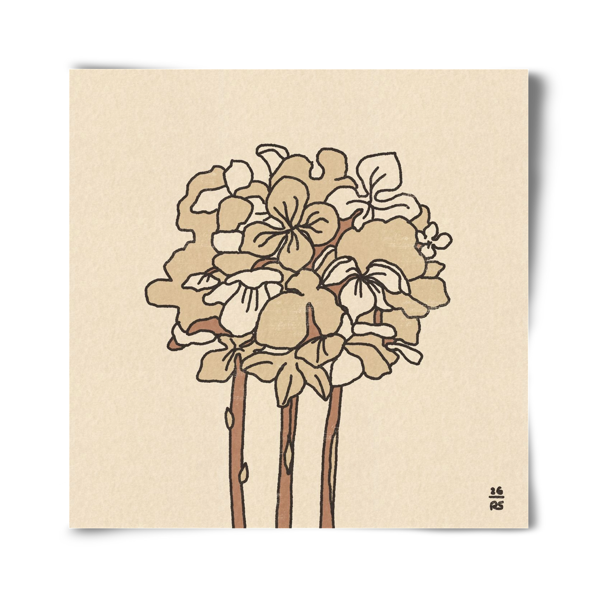 Winter Hydrangeas, 40x40 cm, Keret nélkül