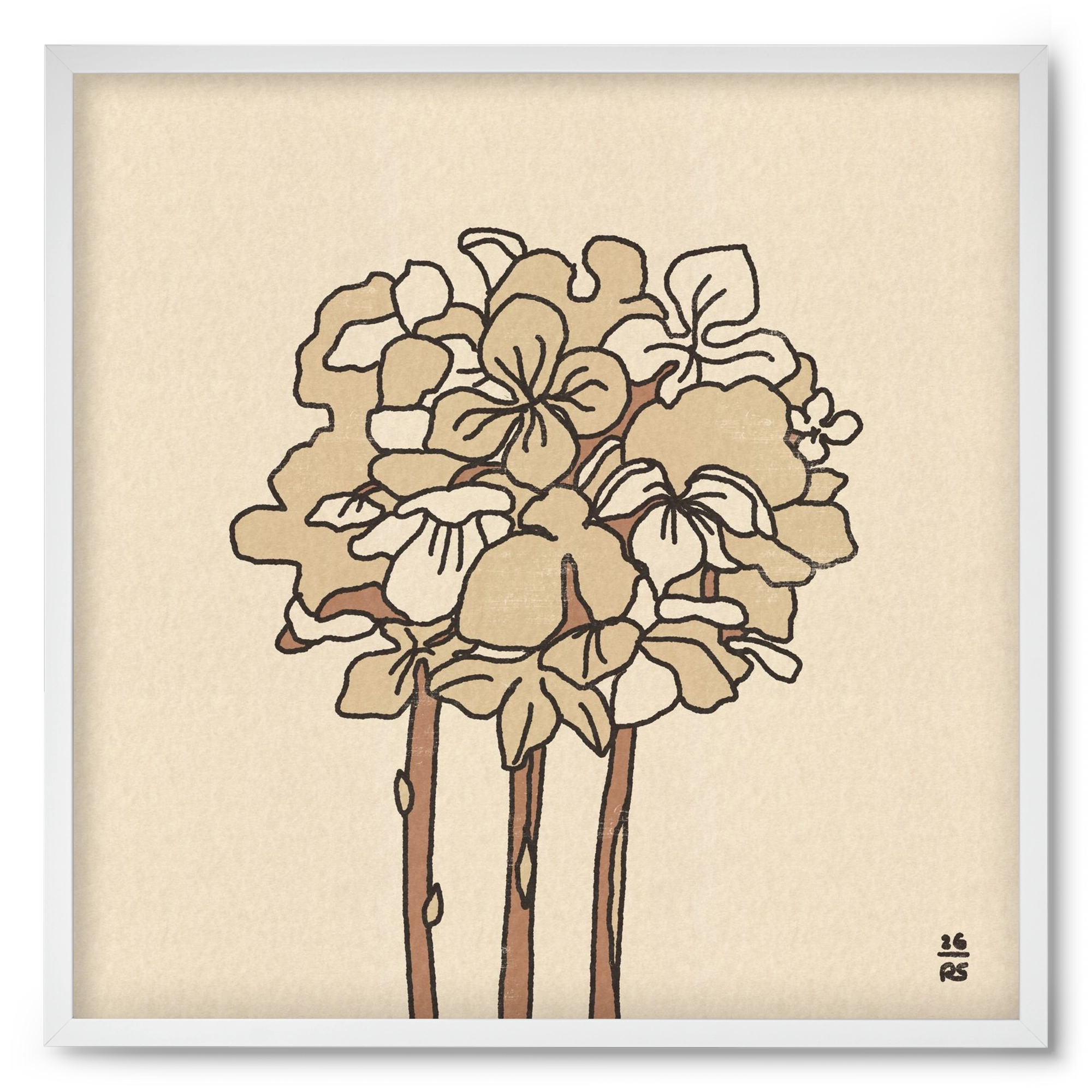 Winter Hydrangeas, 50x50 cm (50x50 cm), Fehér keret