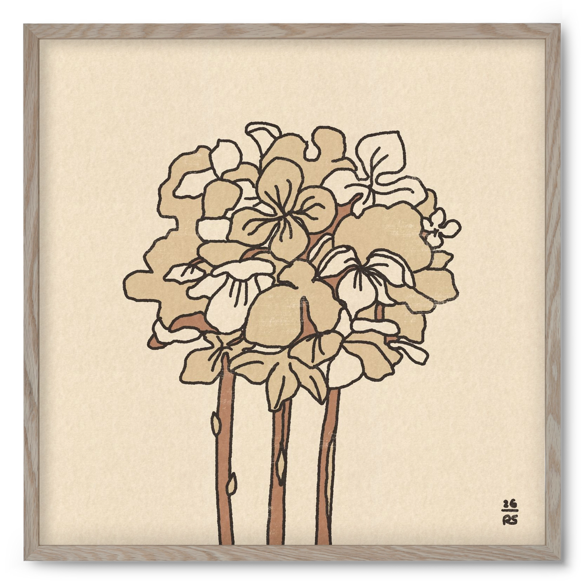 Winter Hydrangeas, 50x50 cm (50x50 cm), Tölgy keret