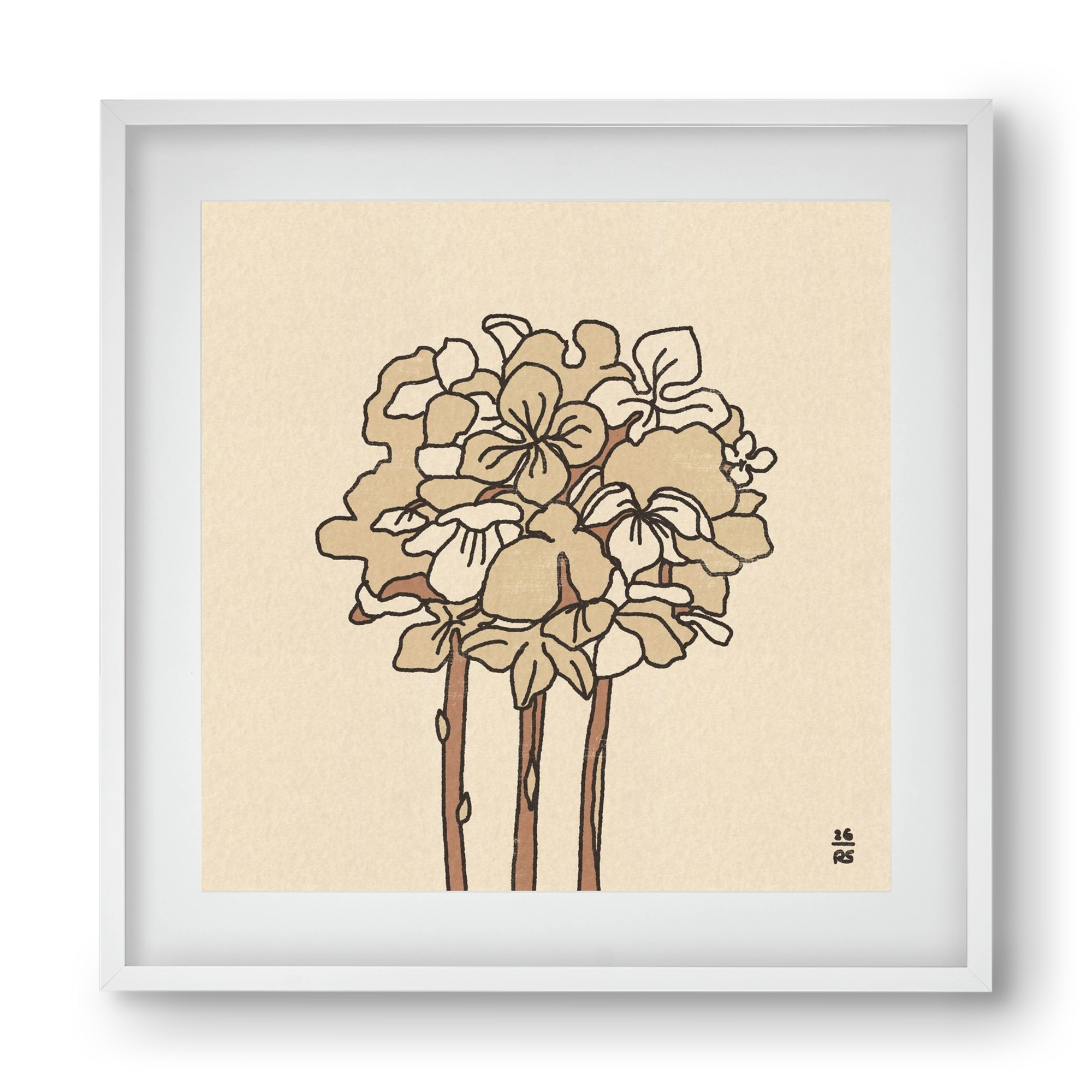 Winter Hydrangeas, 40x40 cm (30x30 cm), Fehér keret, paszpartuval