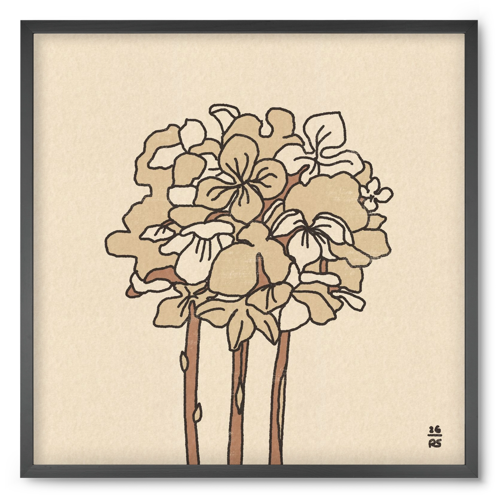 Winter Hydrangeas, 50x50 cm (50x50 cm), Fekete keret