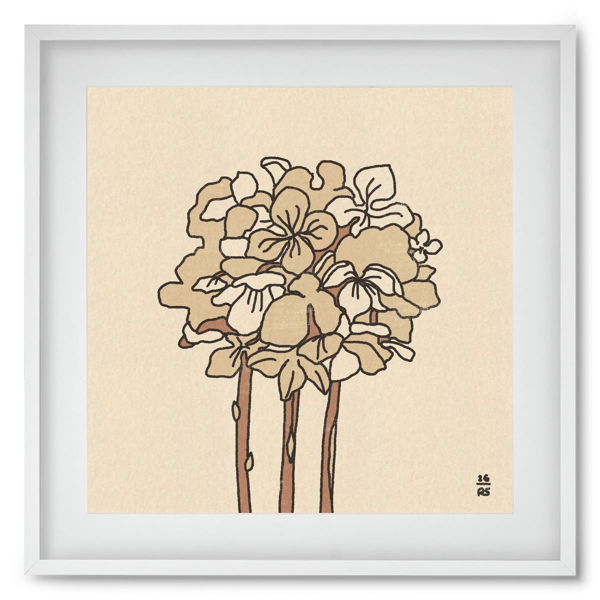 Winter Hydrangeas, 50x50 cm (40x40 cm), Fehér keret, paszpartuval