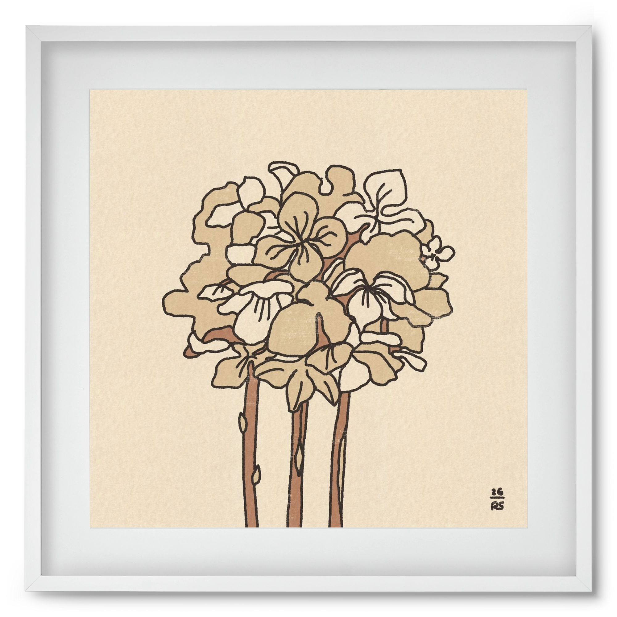 Winter Hydrangeas, 50x50 cm (40x40 cm), Fehér keret, paszpartuval
