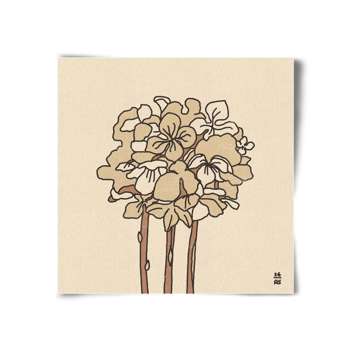 Winter Hydrangeas, 30x30 cm, Keret nélkül