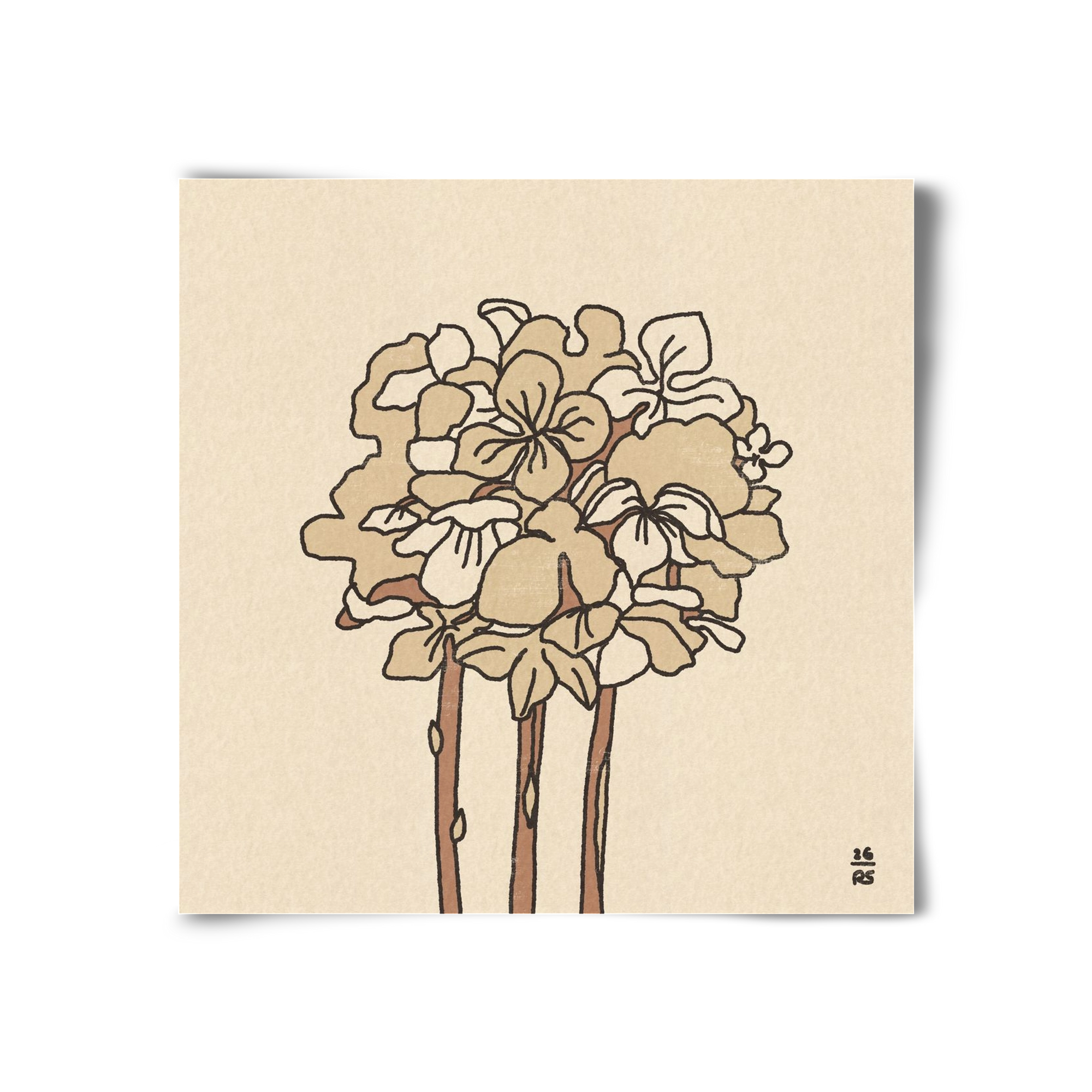 Winter Hydrangeas, 30x30 cm, Keret nélkül