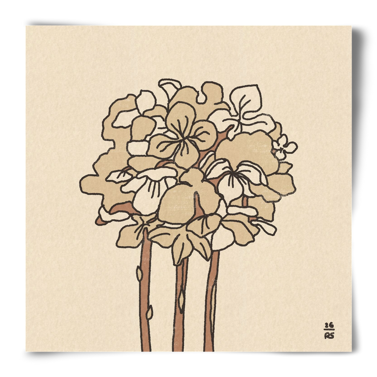 Winter Hydrangeas, 50x50 cm, Keret nélkül