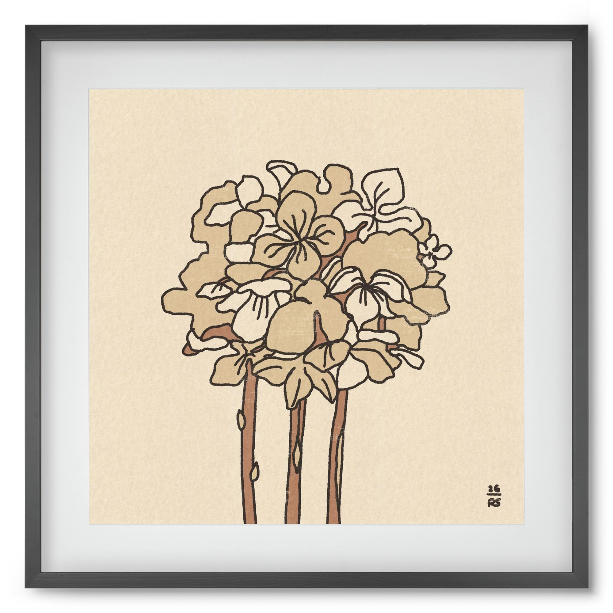 Winter Hydrangeas, 50x50 cm (40x40 cm), Fekete keret, paszpartuval