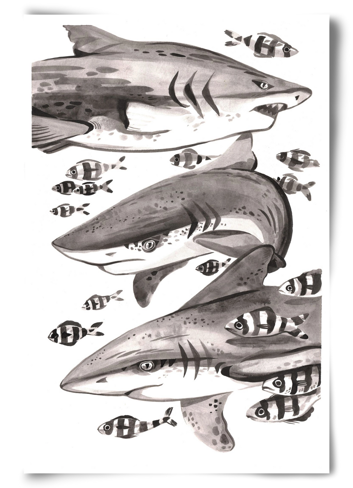 Cápák, 60x90 cm, Keret nélkül