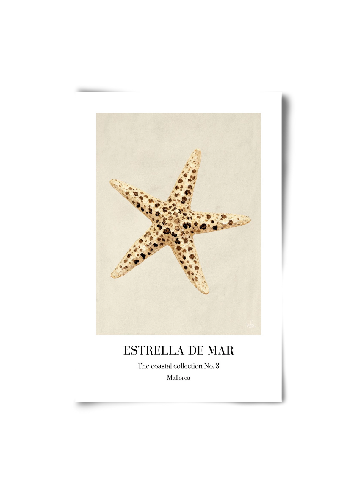 Estrella de mar, 20x30 cm, Keret nélkül