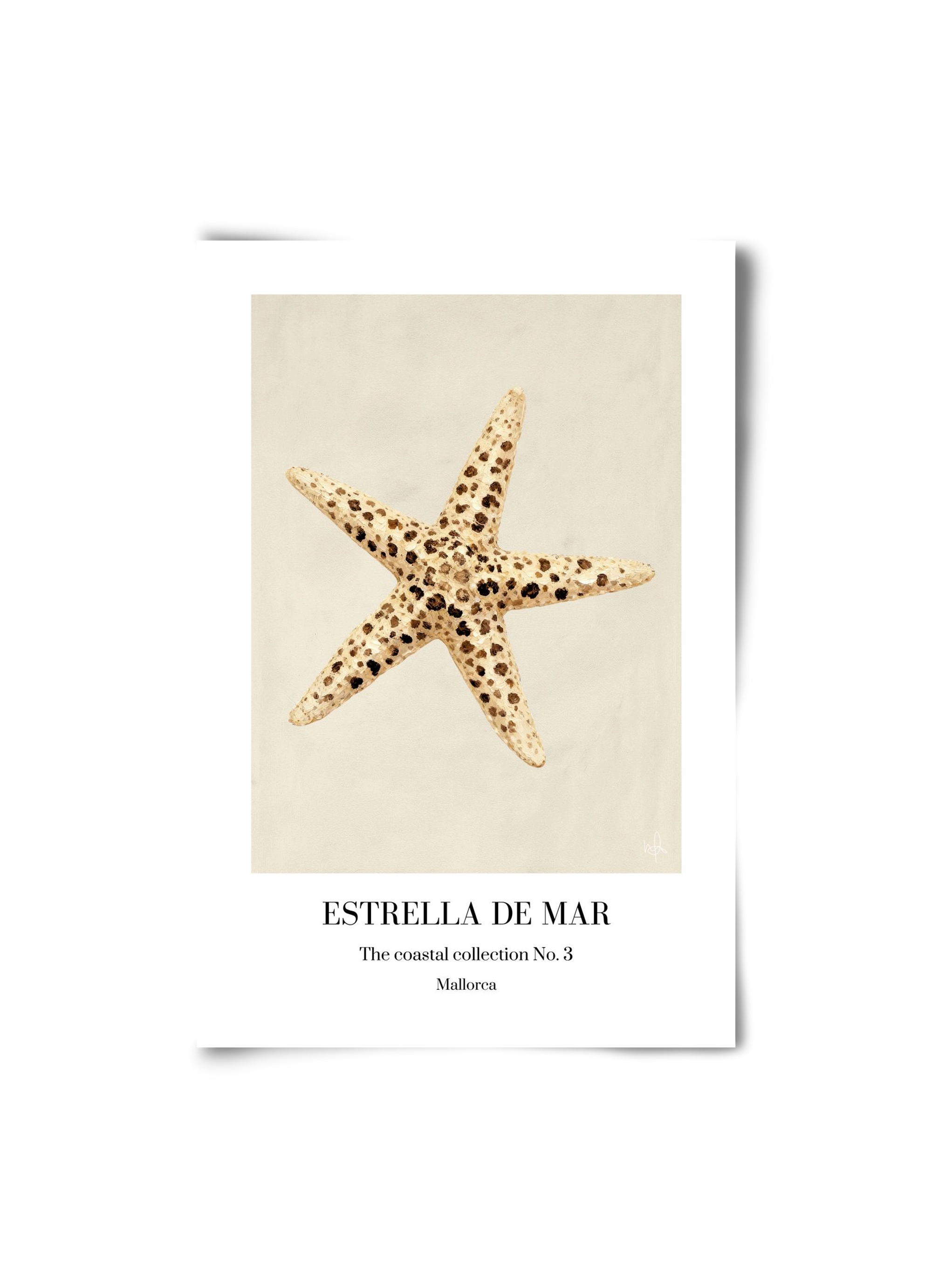 Estrella de mar, 20x30 cm, Keret nélkül
