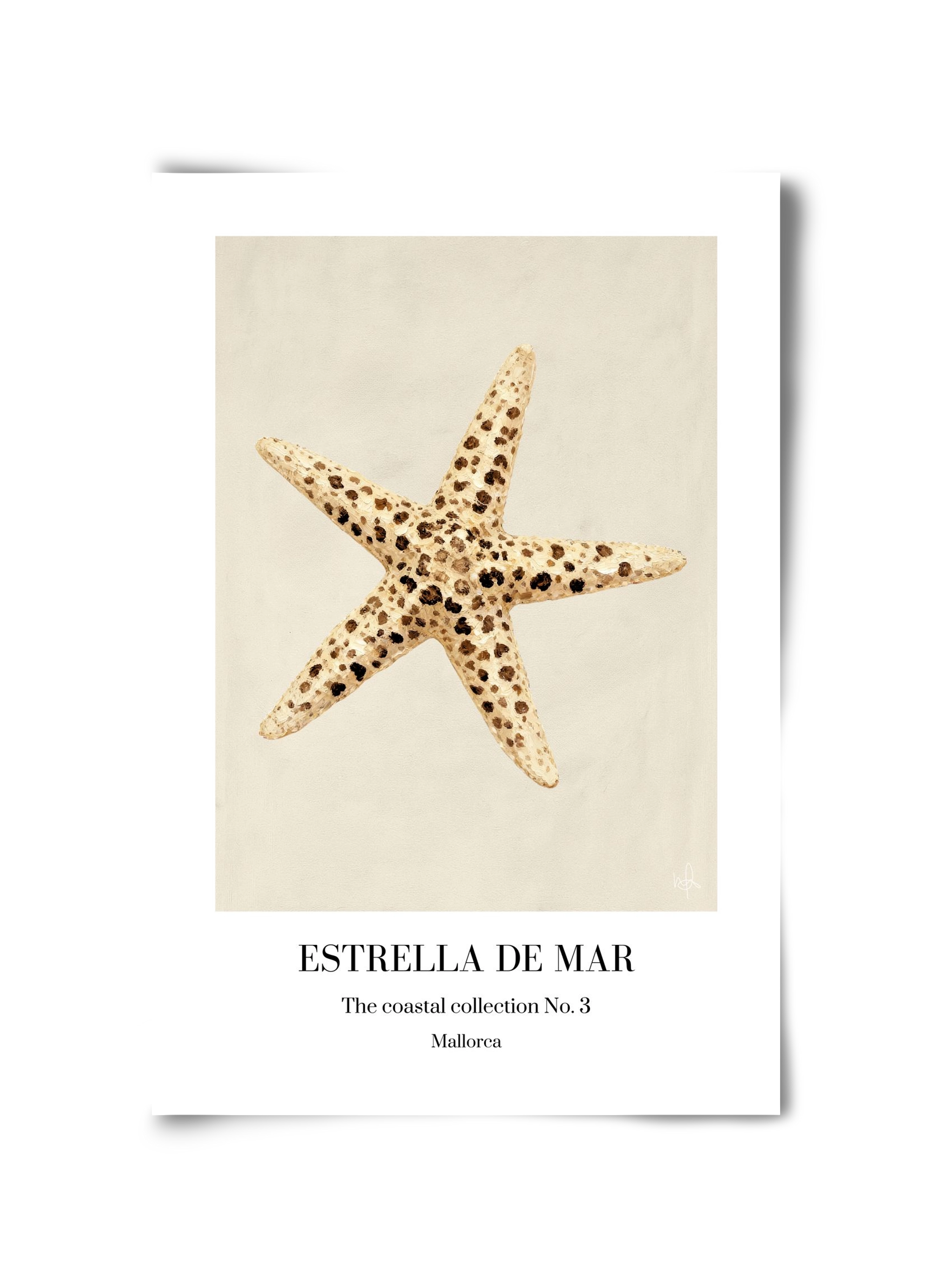 Estrella de mar, 30x45 cm, Keret nélkül