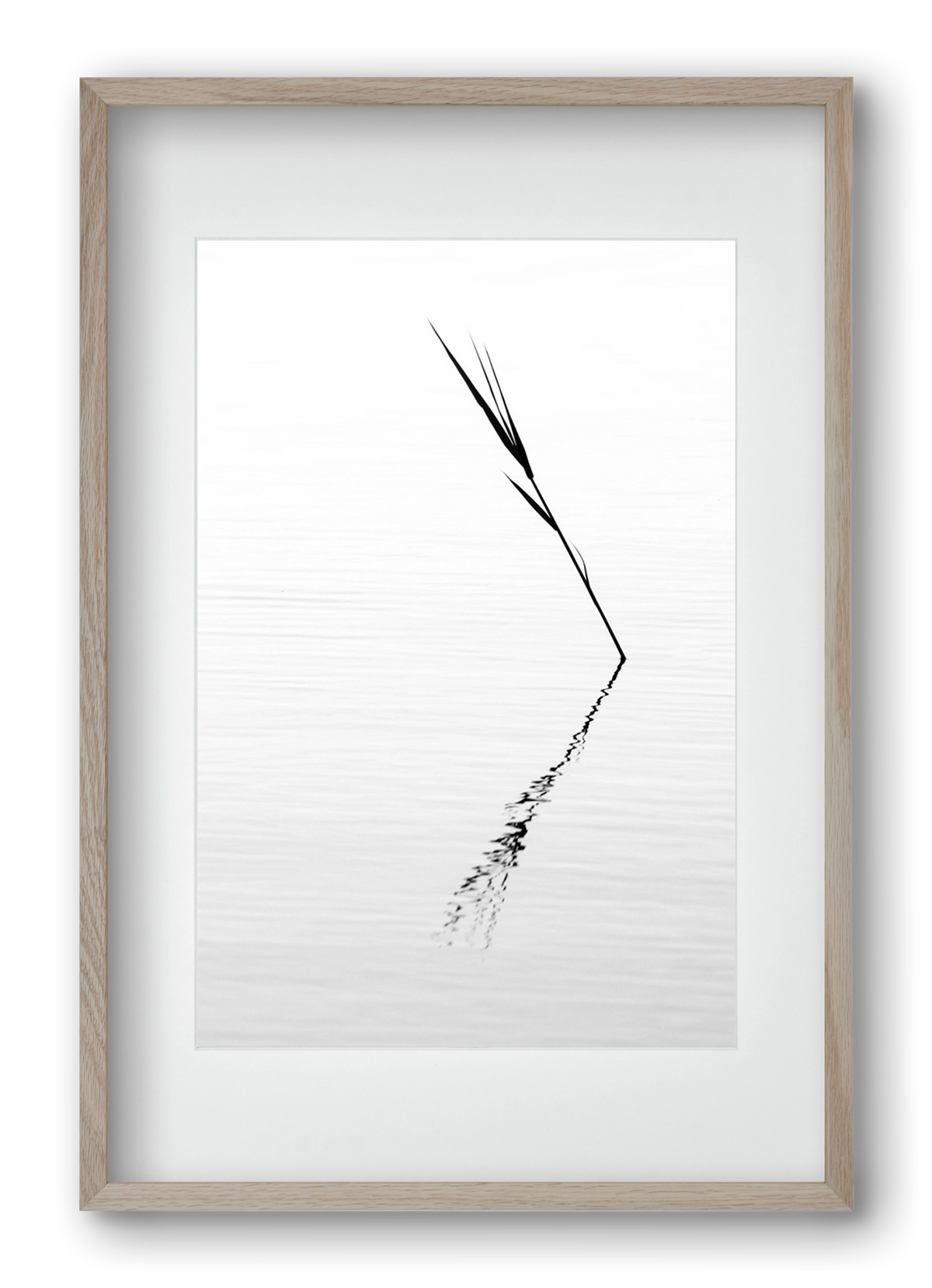 Minimál nád , 40x60 cm (30x45 cm), Tölgy keret, paszpartuval