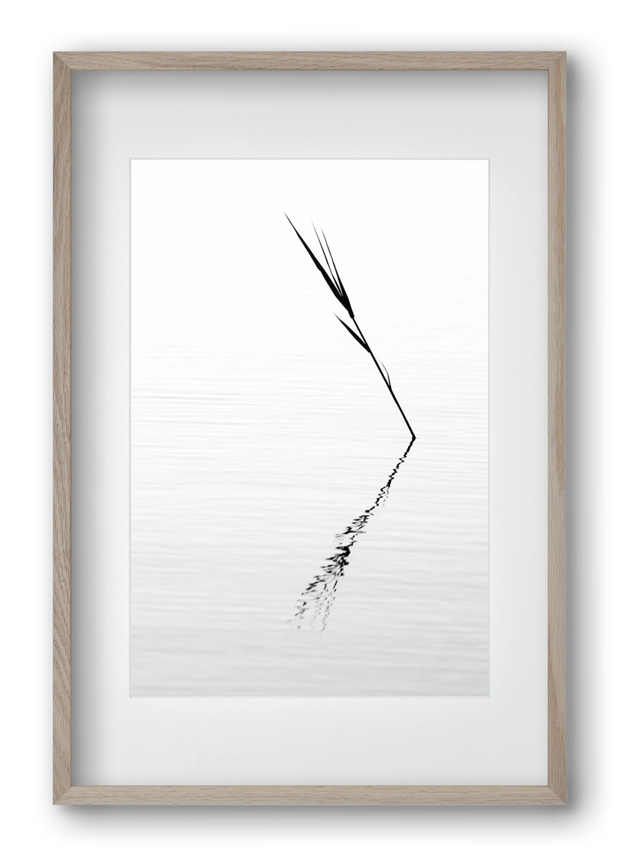 Minimál nád , 40x60 cm (30x45 cm), Tölgy keret, paszpartuval