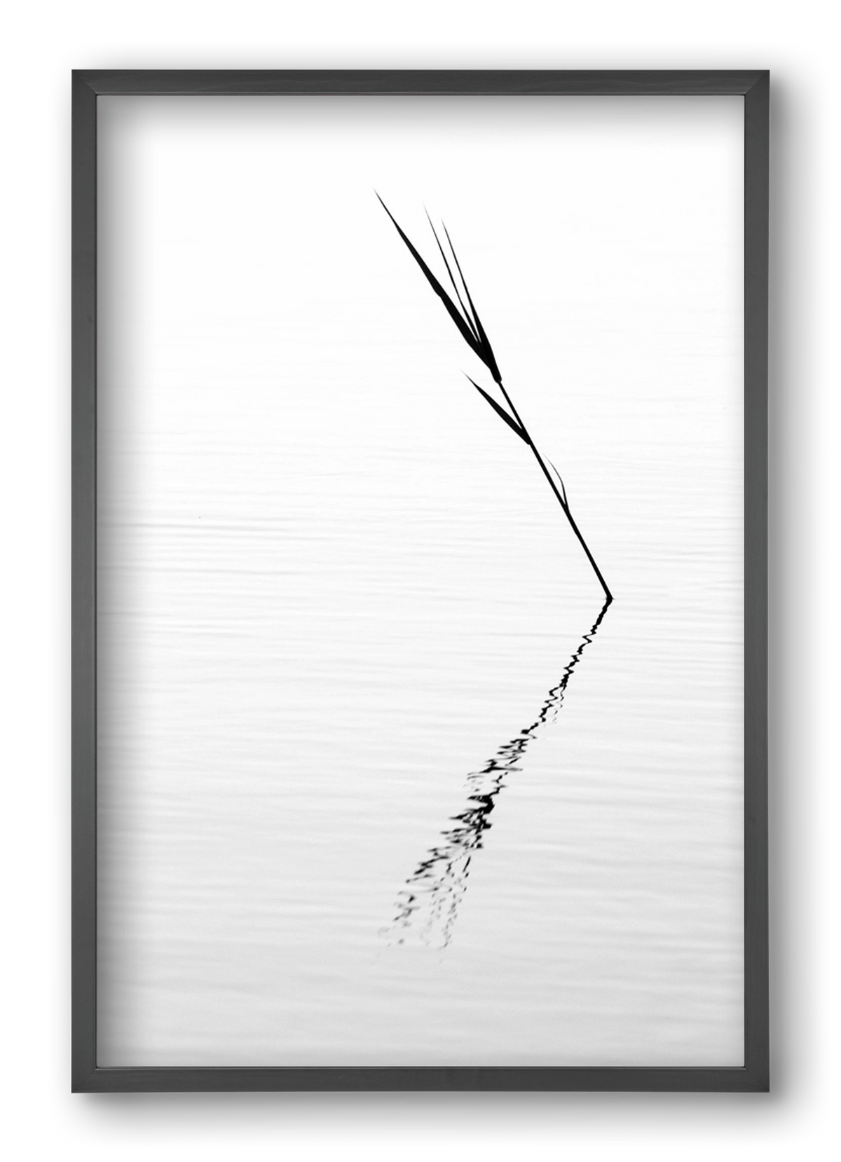 Minimál nád , 40x60 cm (40x60 cm), Fekete keret