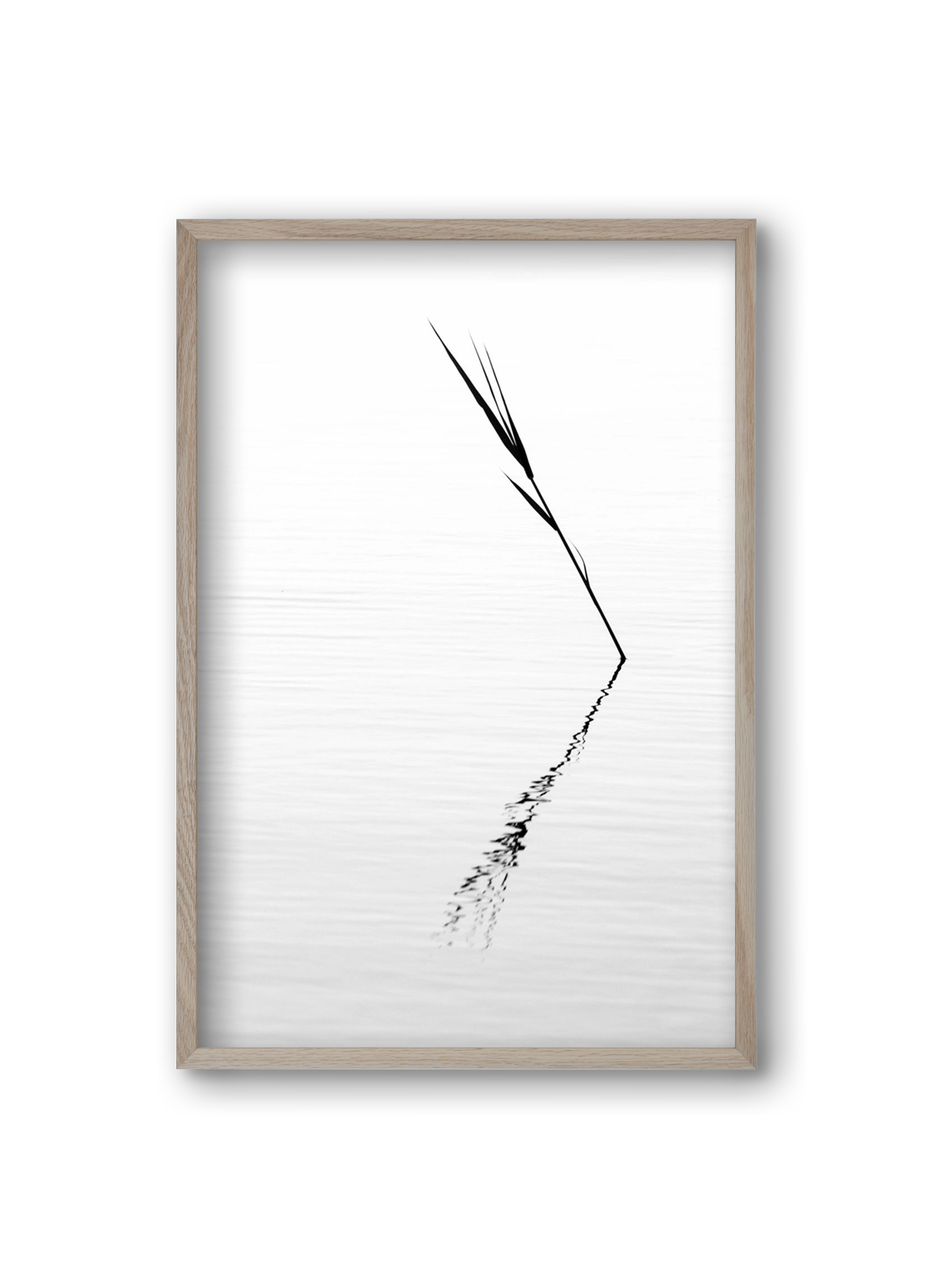 Minimál nád , 20x30 cm (20x30 cm), Tölgy keret
