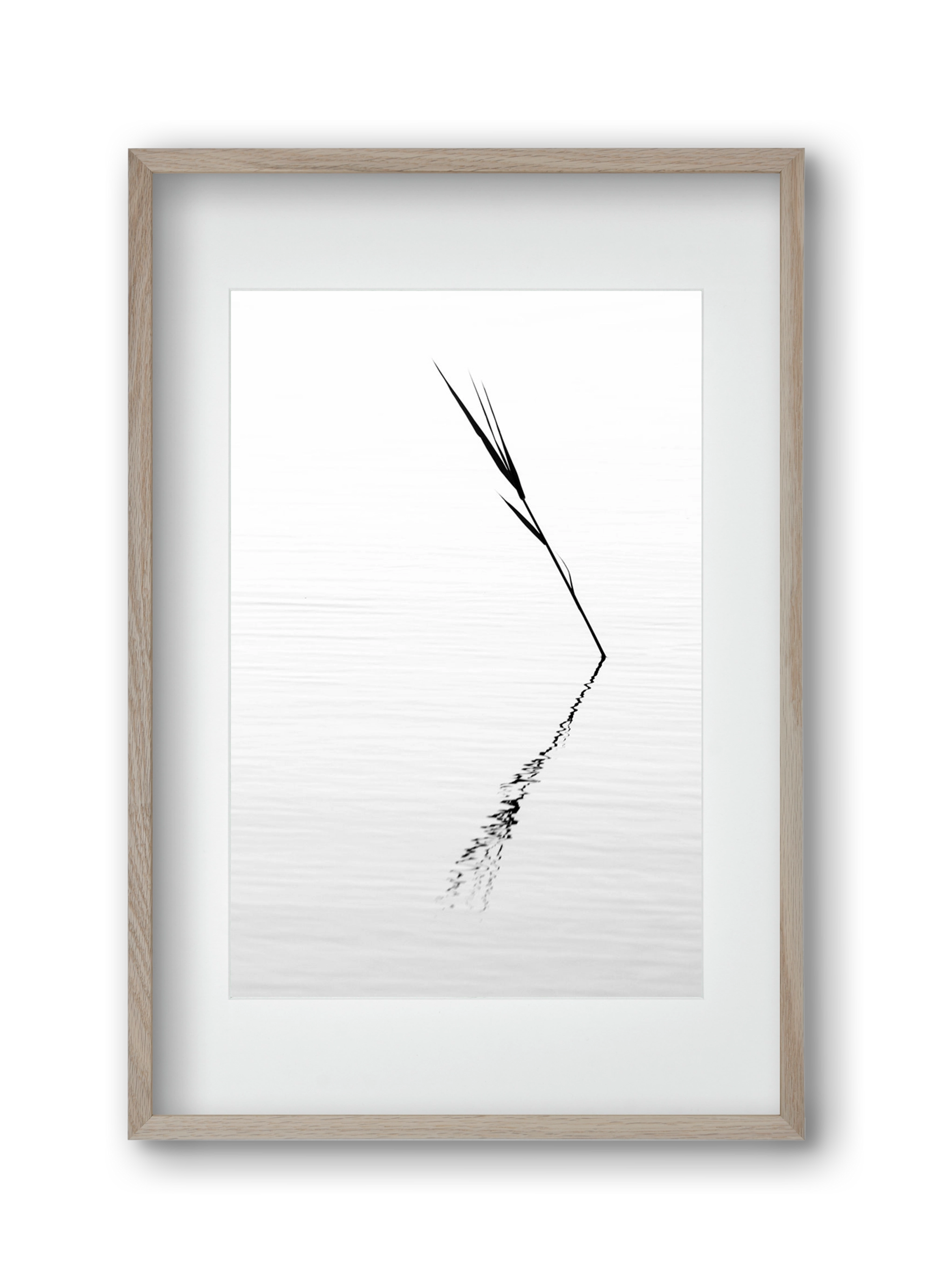 Minimál nád , 30x45 cm (20x30 cm), Tölgy keret, paszpartuval