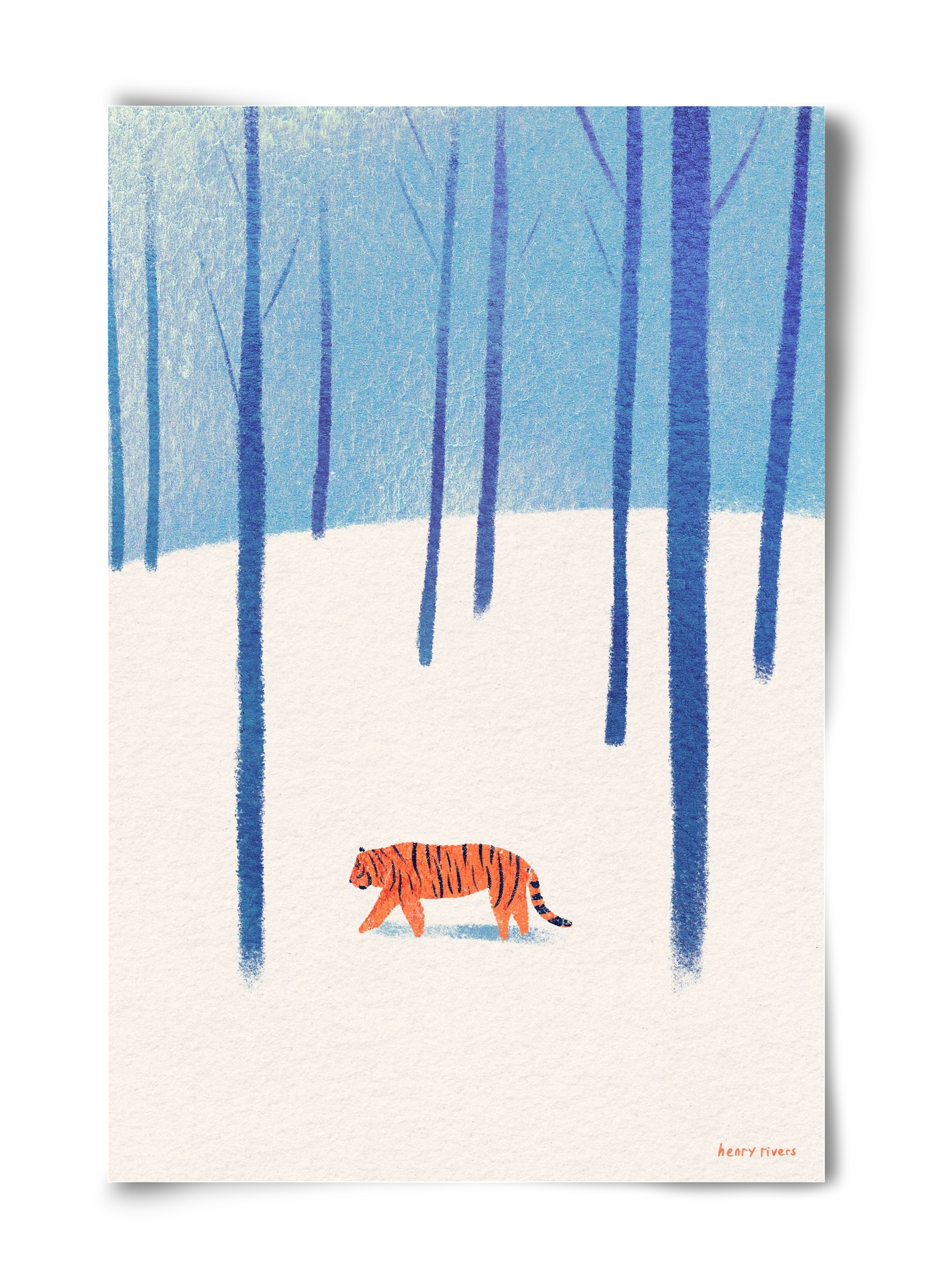 Tiger in the snow, 40x60 cm, Keret nélkül