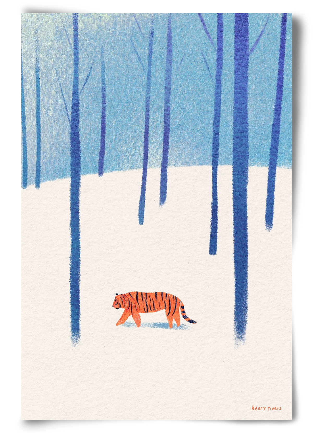 Tiger in the snow, 60x90 cm, Keret nélkül