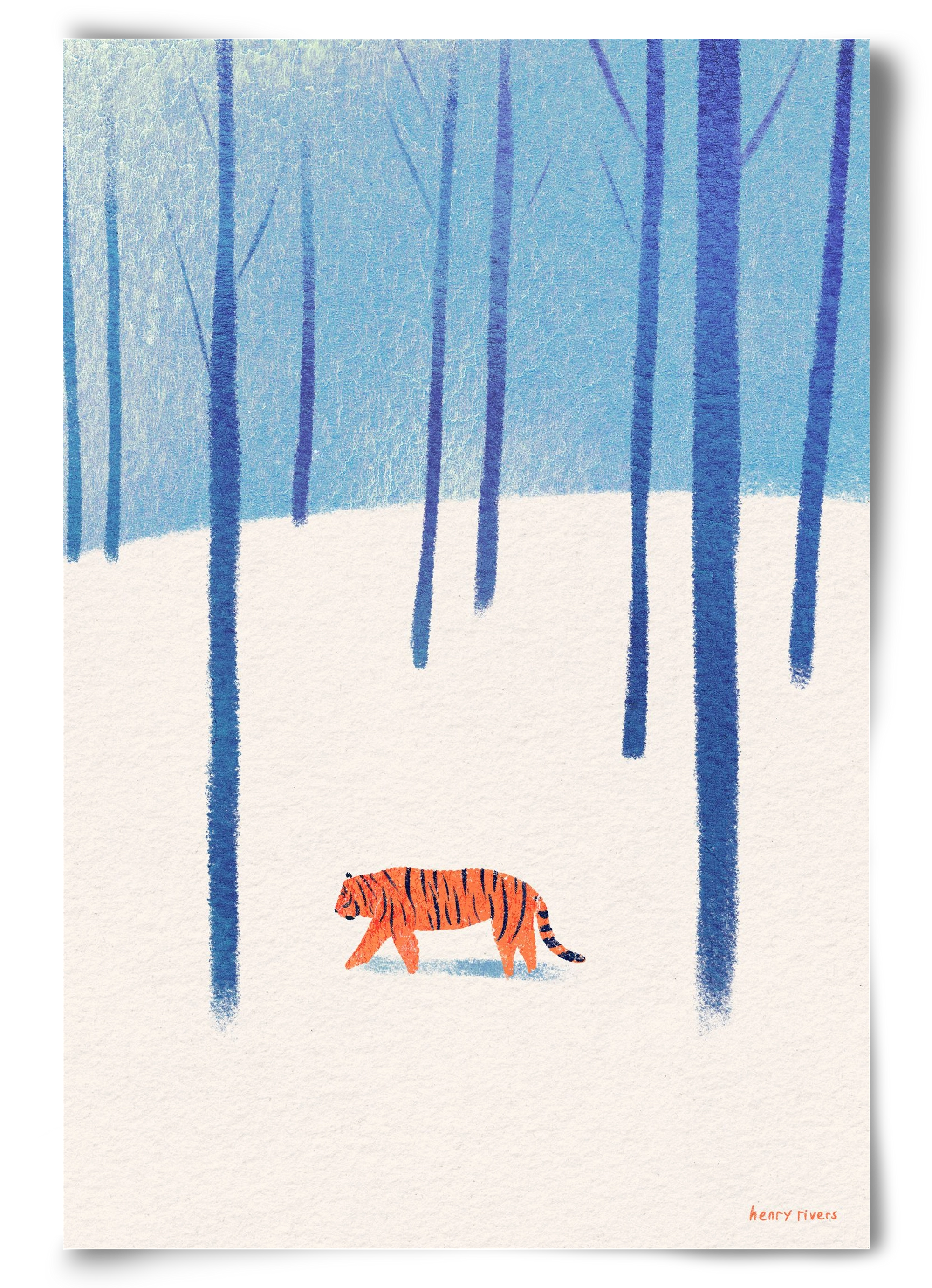 Tiger in the snow, 60x90 cm, Keret nélkül