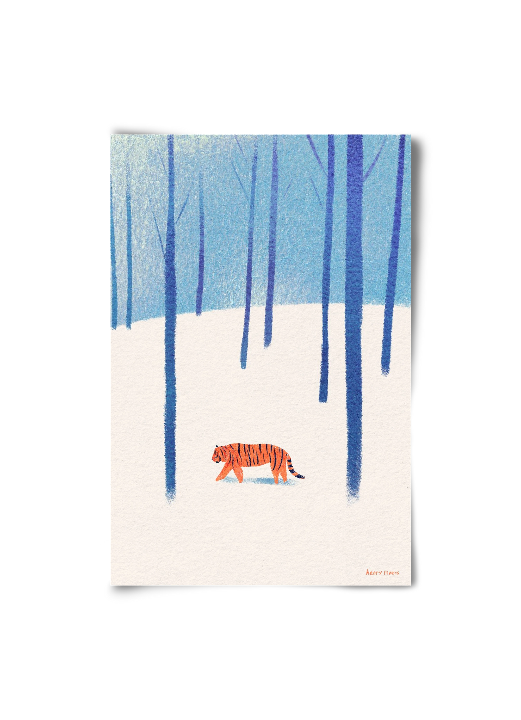 Tiger in the snow, 20x30 cm, Keret nélkül
