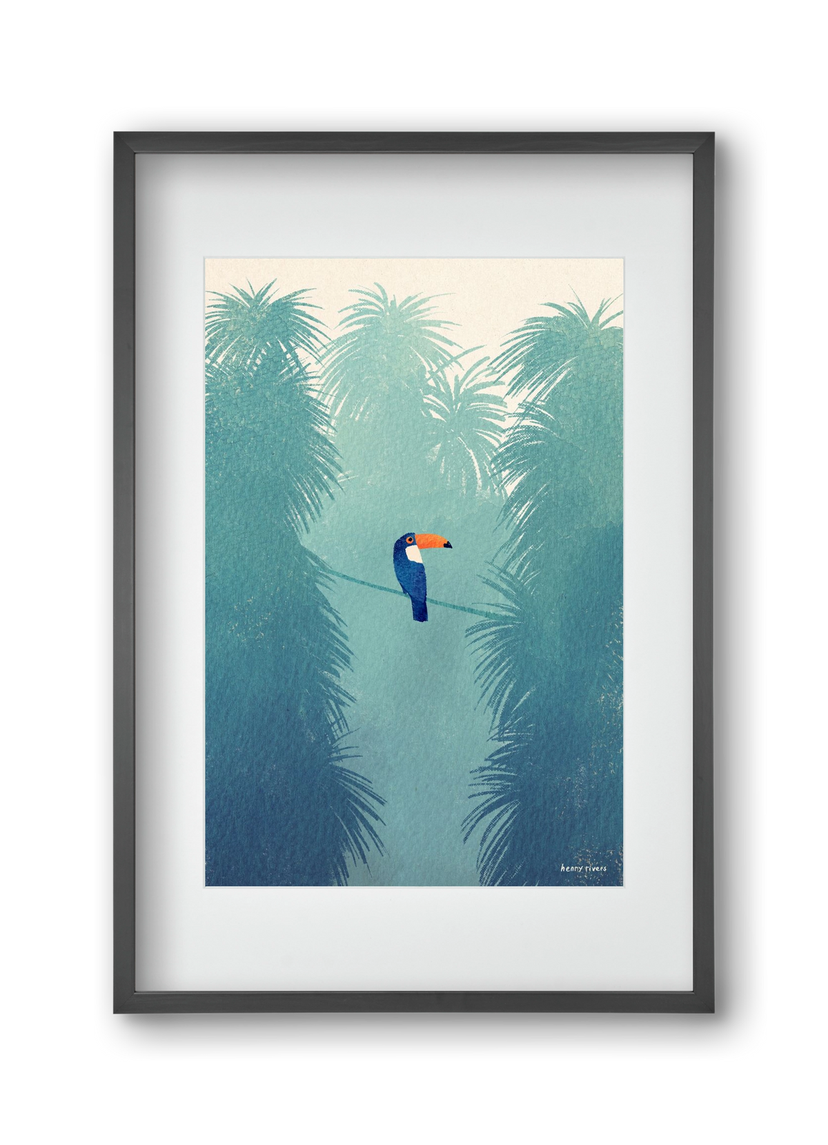 Toucan, 30x45 cm (20x30 cm), Fekete keret, paszpartuval