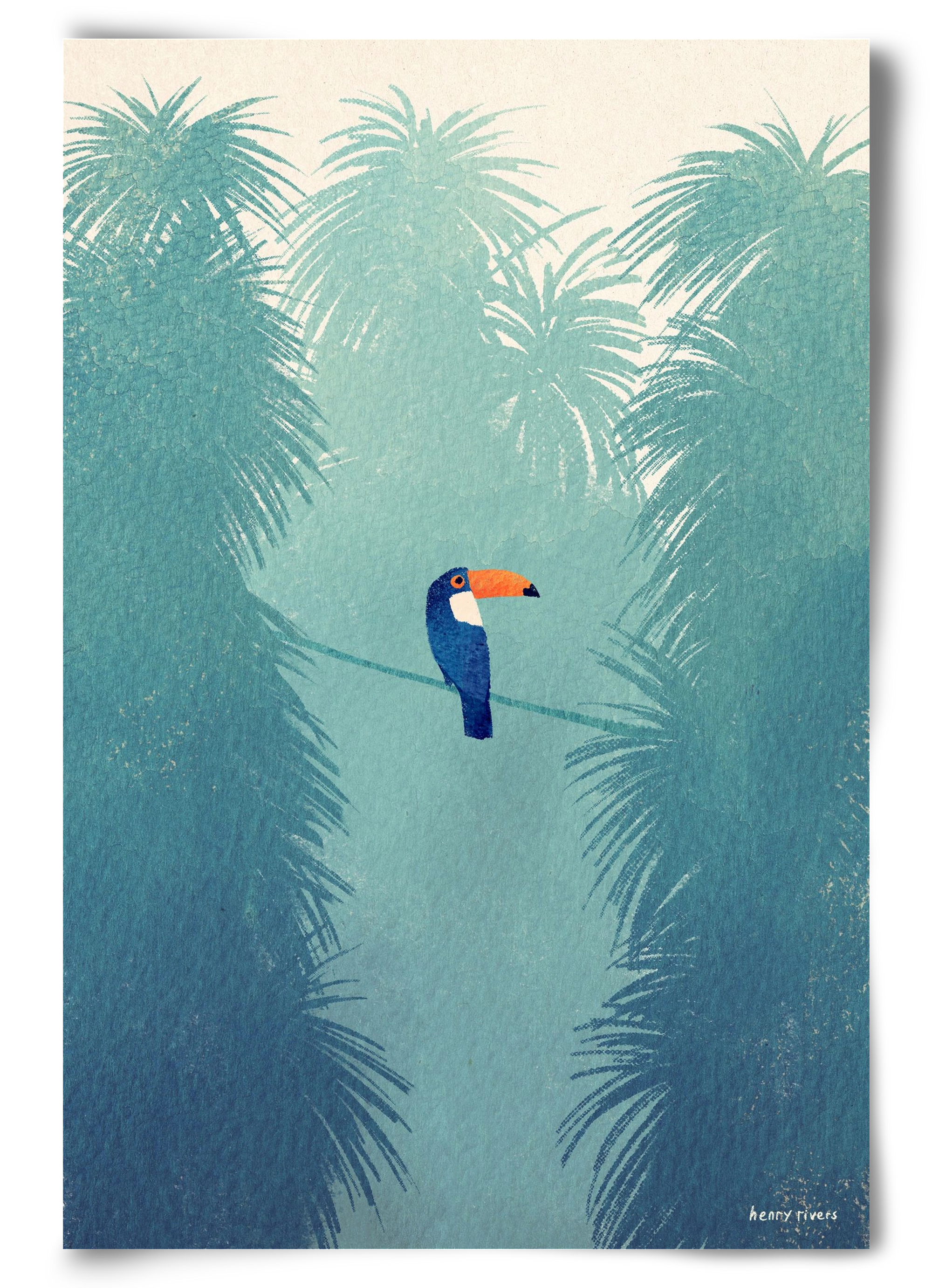 Toucan, 60x90 cm, Keret nélkül