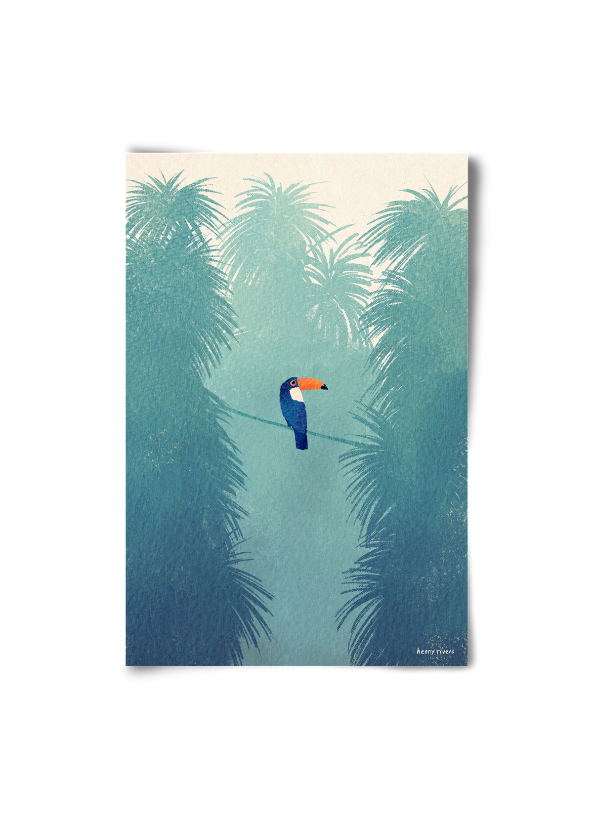 Toucan, 20x30 cm, Keret nélkül