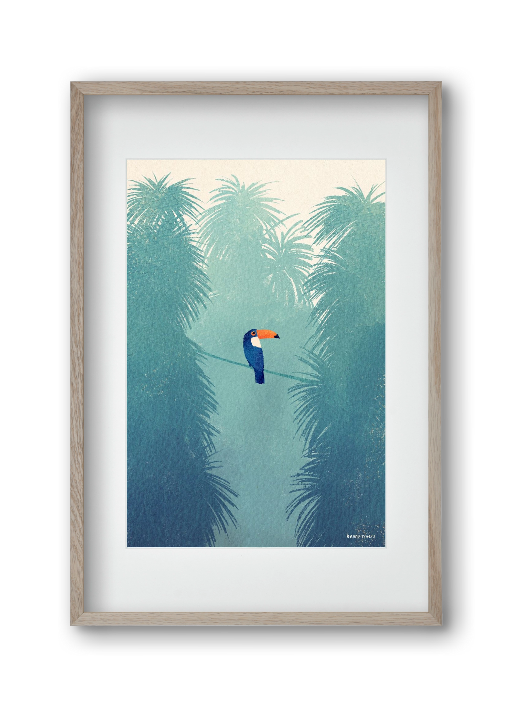 Toucan, 30x45 cm (20x30 cm), Tölgy keret, paszpartuval